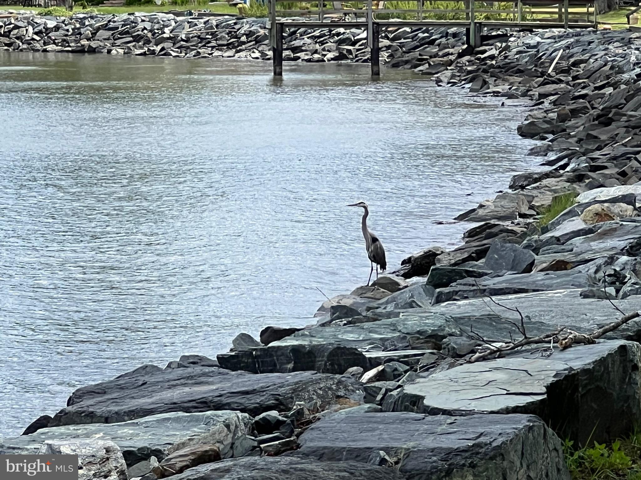 COLUMBIA BEACH - Land