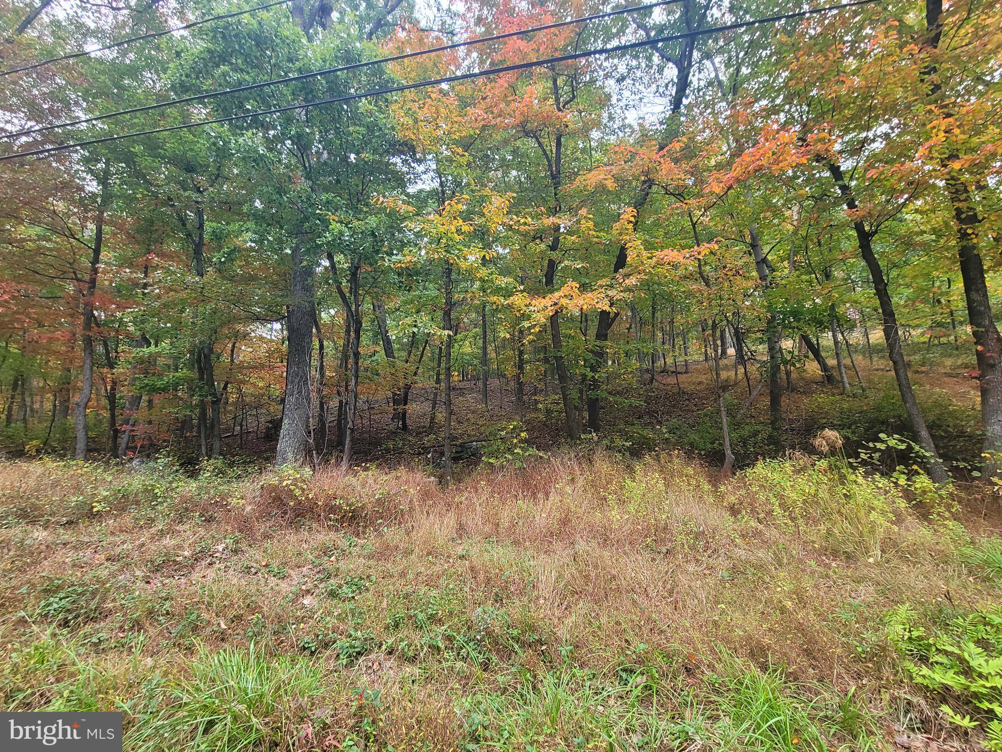 Lot 165 HAWK TRAIL