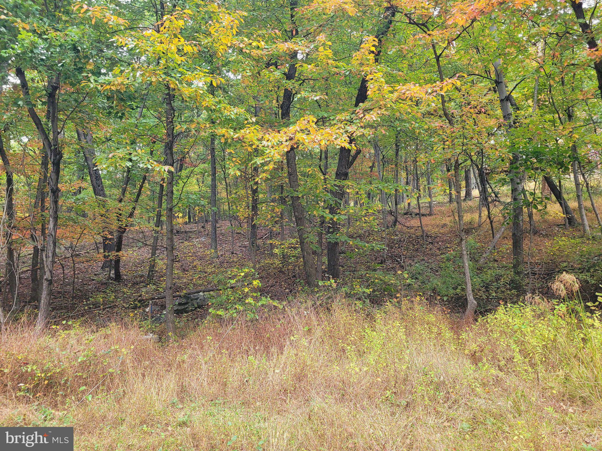 Lot 165 HAWK TRAIL