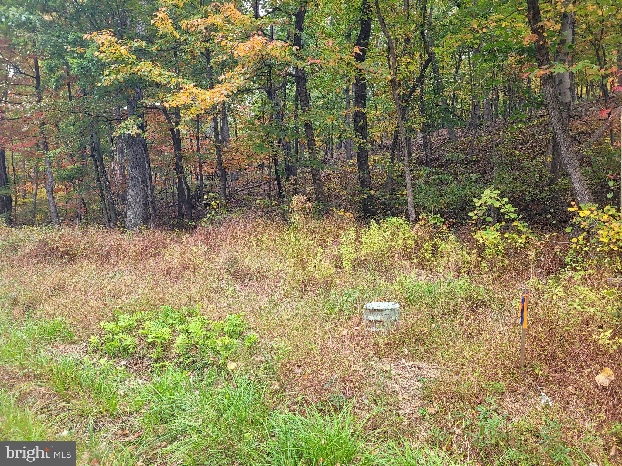 Lot 165 Hawk Trail
