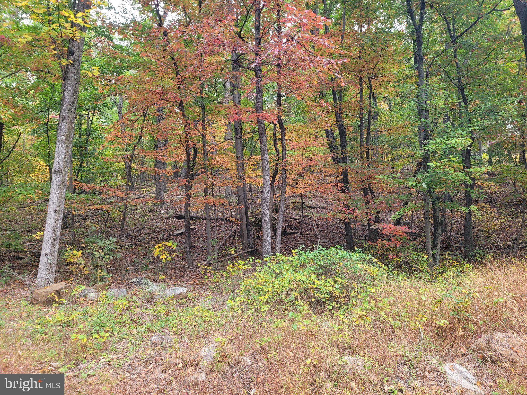 Lot 165 HAWK TRAIL