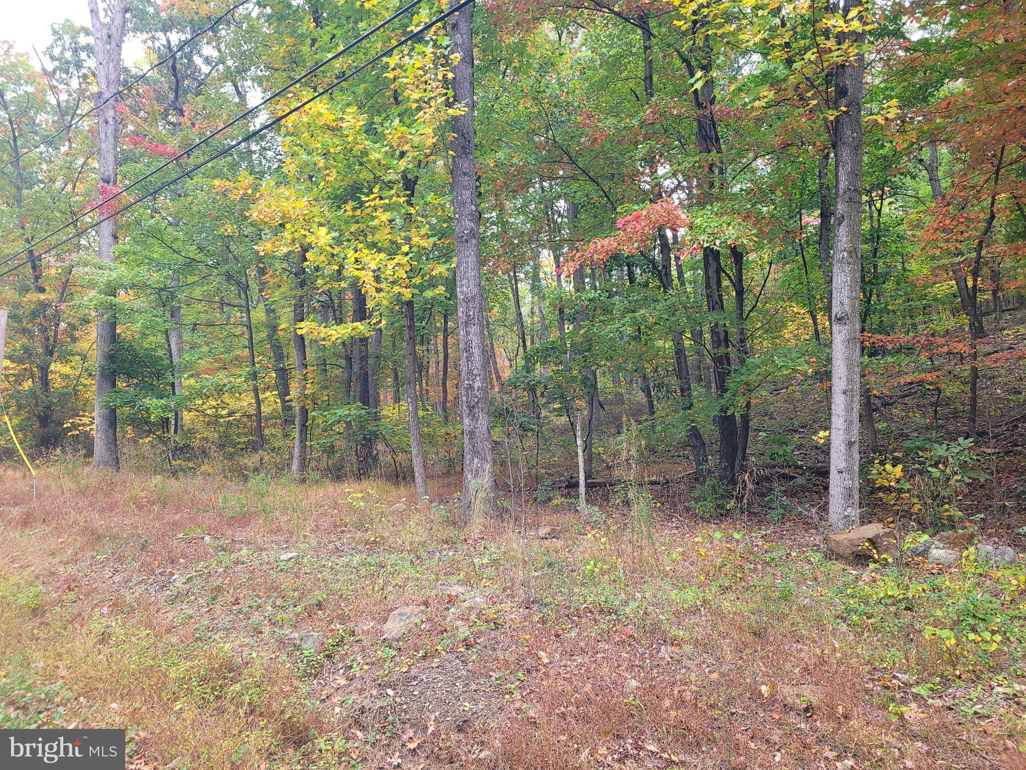 Lot 165 HAWK TRAIL