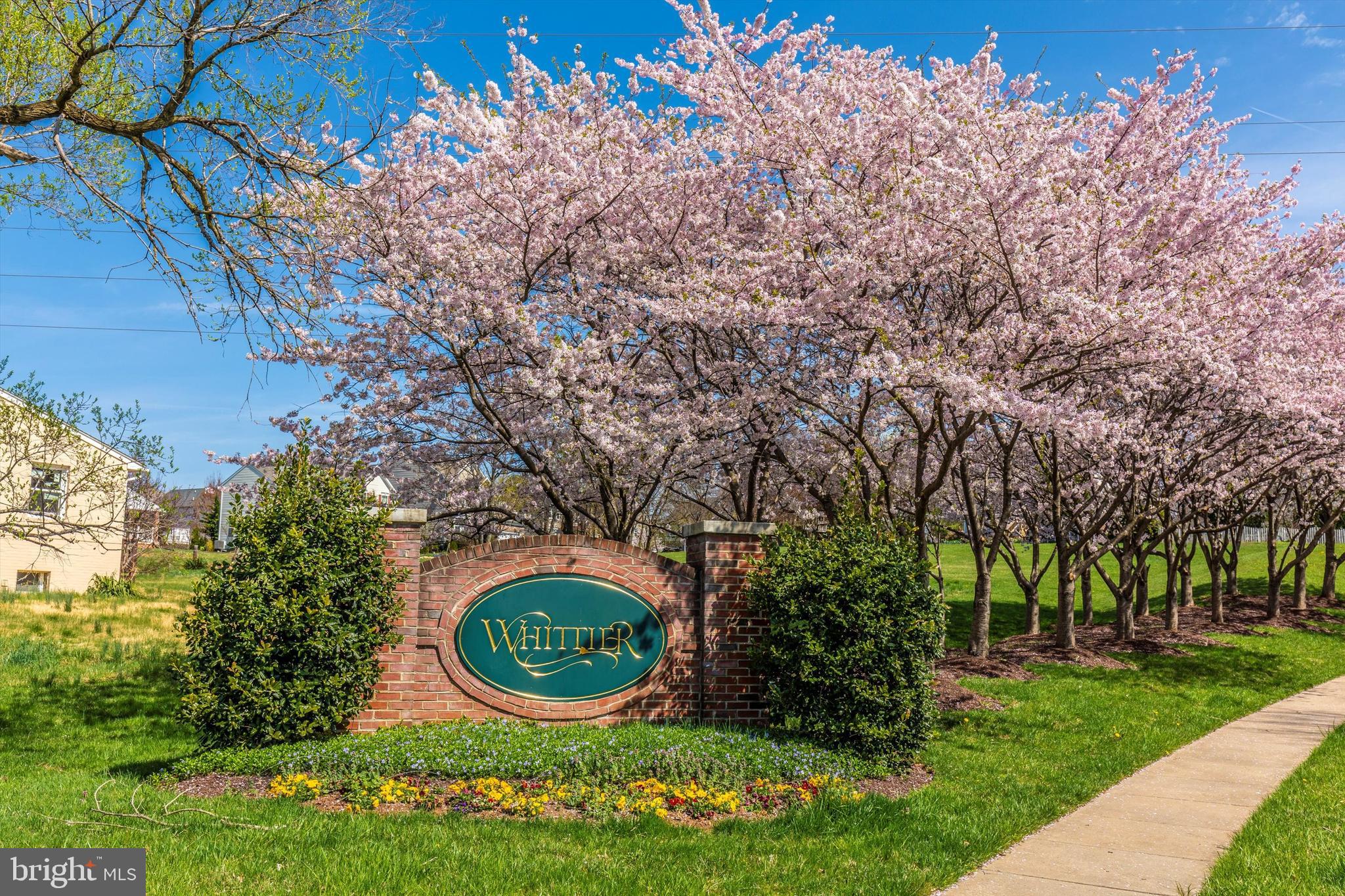 WHITTIER POND - Residential