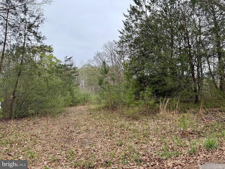 This remarkable 1.46-acre lot in Stafford, VA, offers the opportunity to build the dream home you have always envisioned. With residential zoning, this land provides an ideal canvas for a custom home surrounded by natural beauty. It is just moments away from town conveniences and offers a tranquil lifestyle with easy access to local schools, shopping, and major roadways. 

Take advantage of the chance to create a private oasis or invest in an area with excellent appreciation potential—this lot represents a promising future. Don’t miss the opportunity to own a piece of Stafford.

From the previous listing note, a home was on the property a few years ago. Public water is available. A recent survey was done, and a soil test was done.