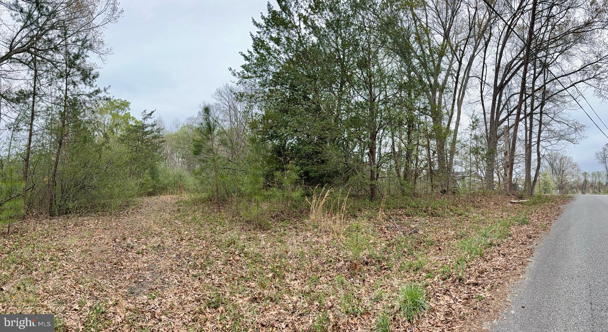 STAFFORD HEIGHTS - Land