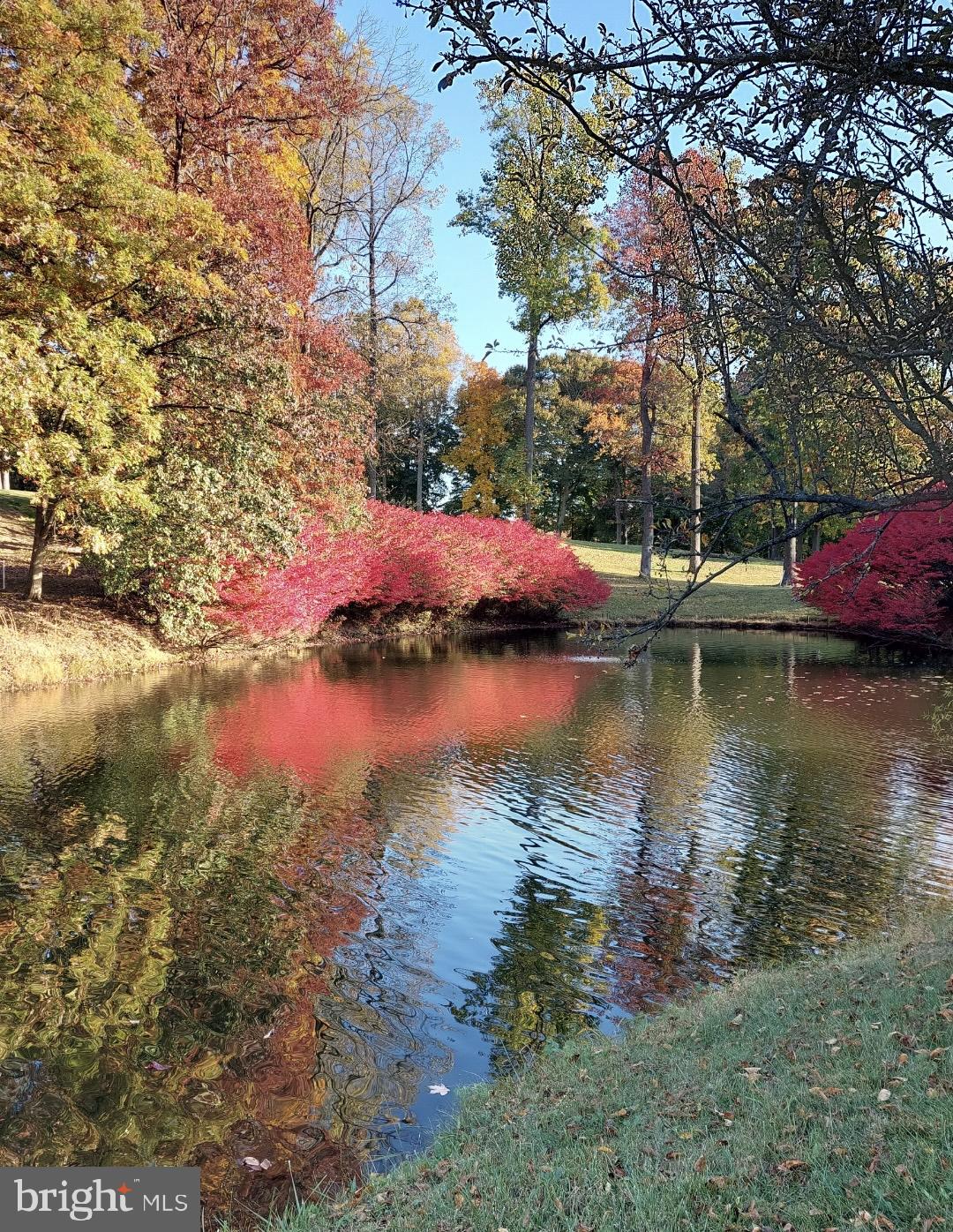 GREENS AT LEISURE WORLD - Residential