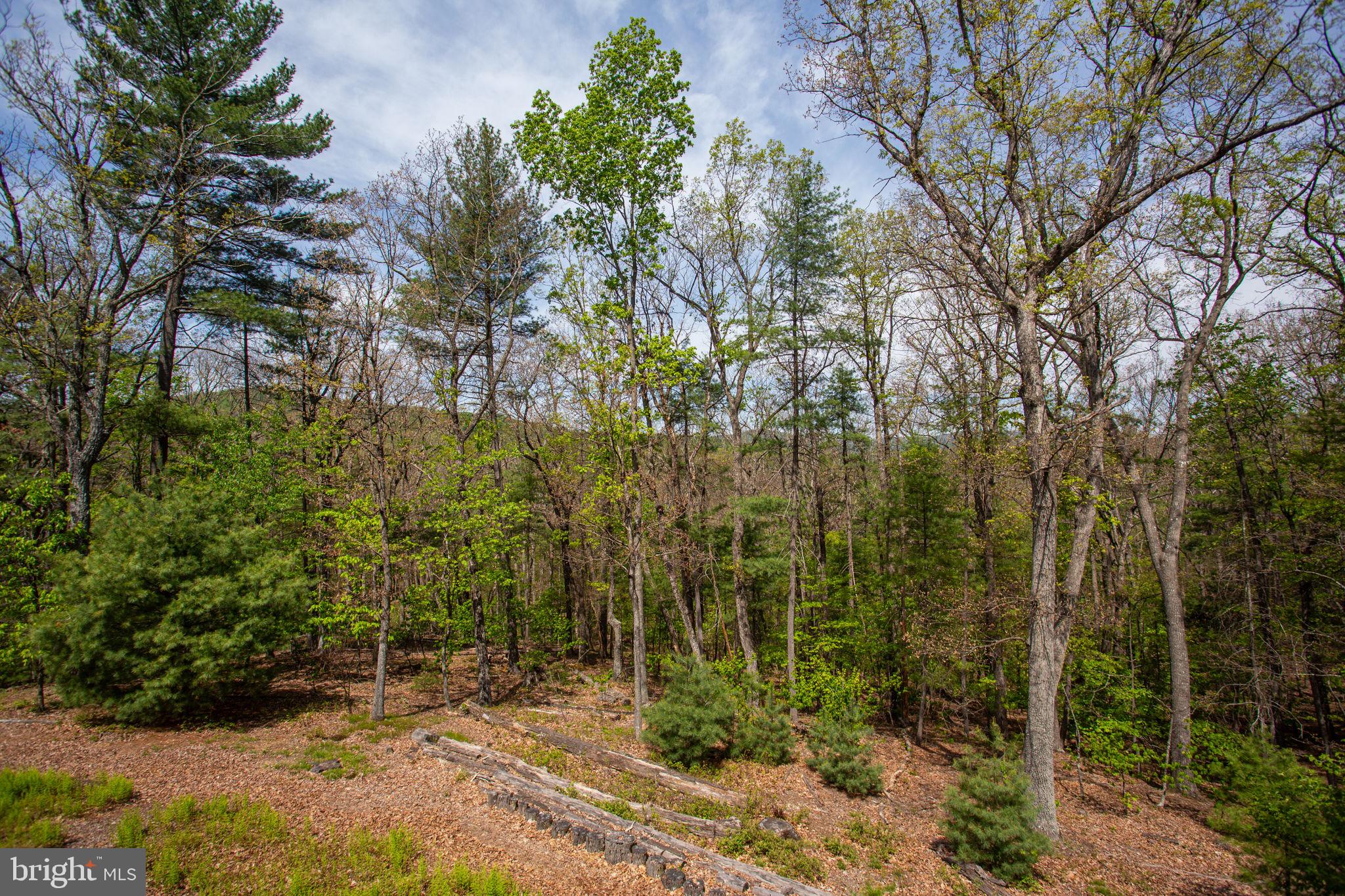 MATHIAS ESTATES - Residential