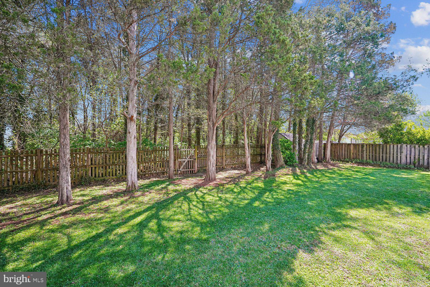 OAK TREE - Residential