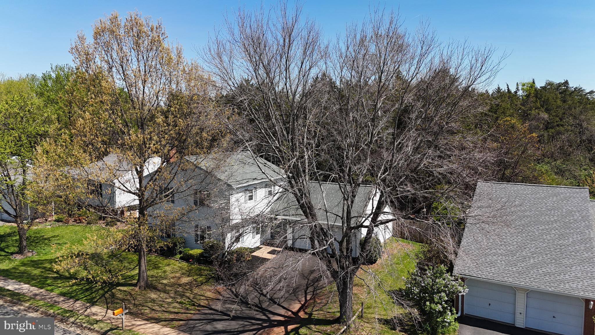 OAK TREE - Residential