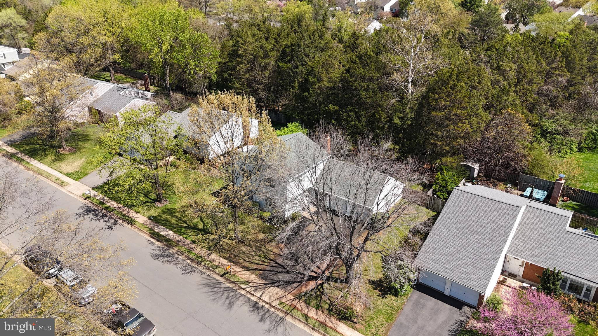 OAK TREE - Residential