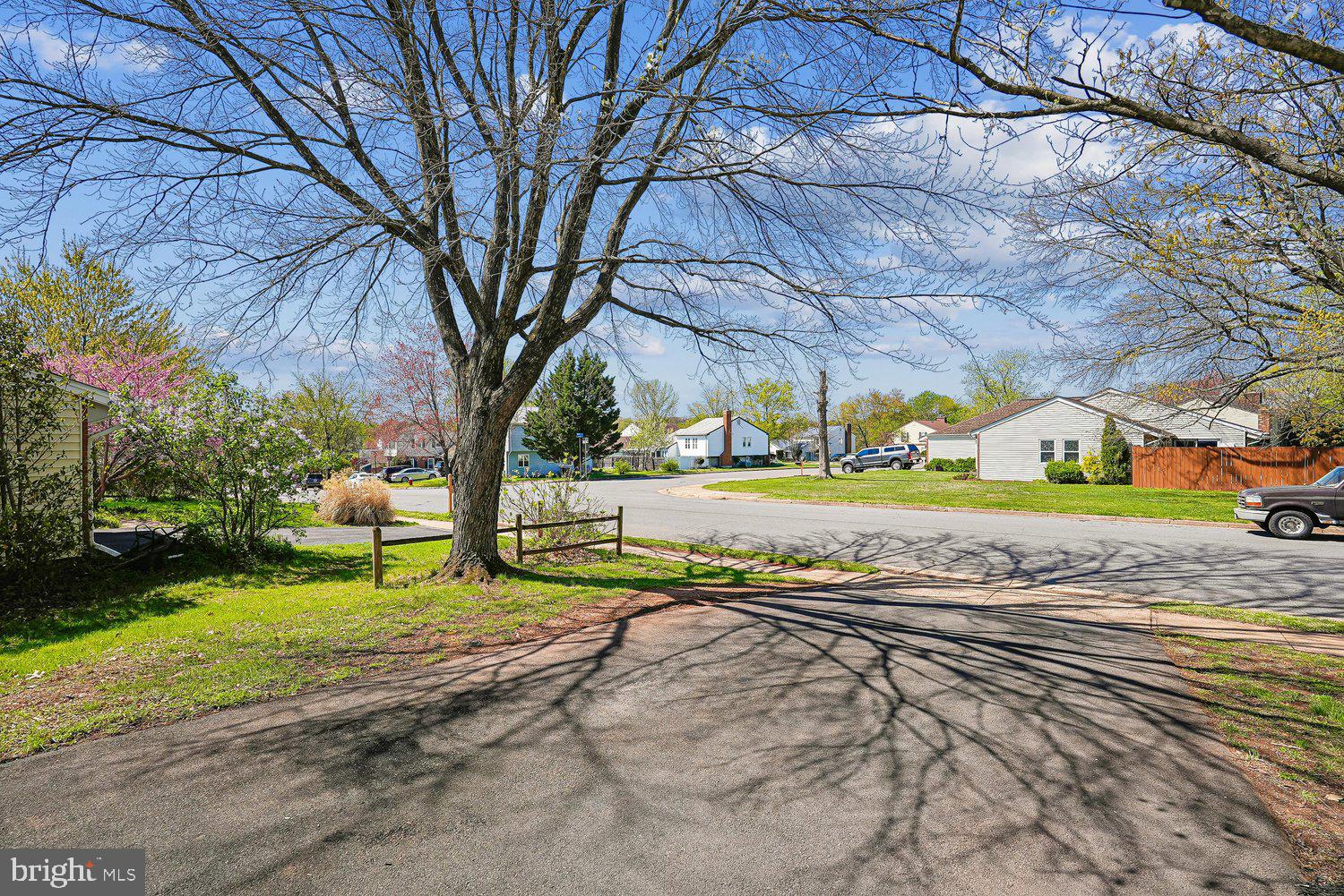 OAK TREE - Residential