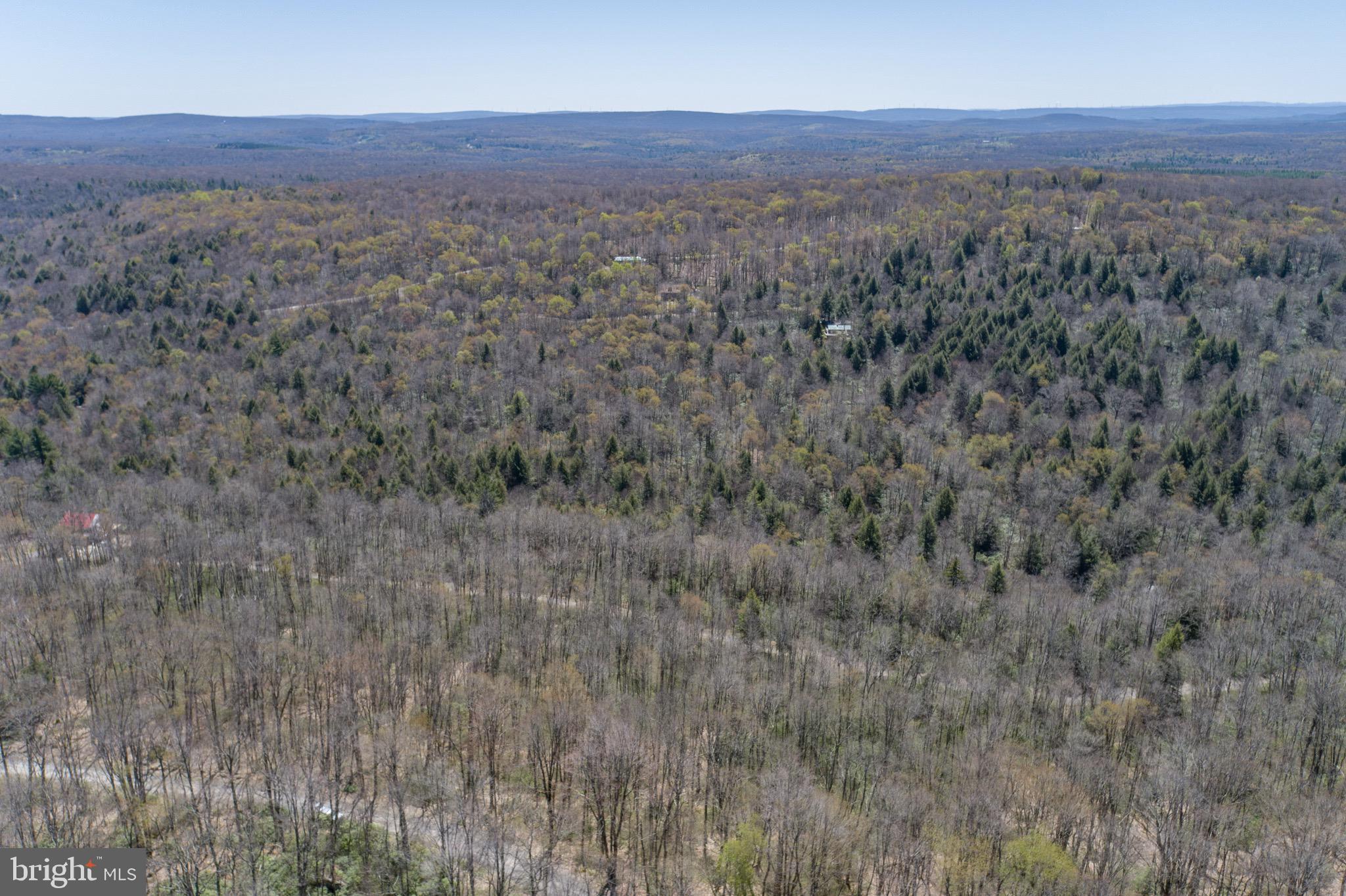 PINEY MOUNTAIN CORP - Land