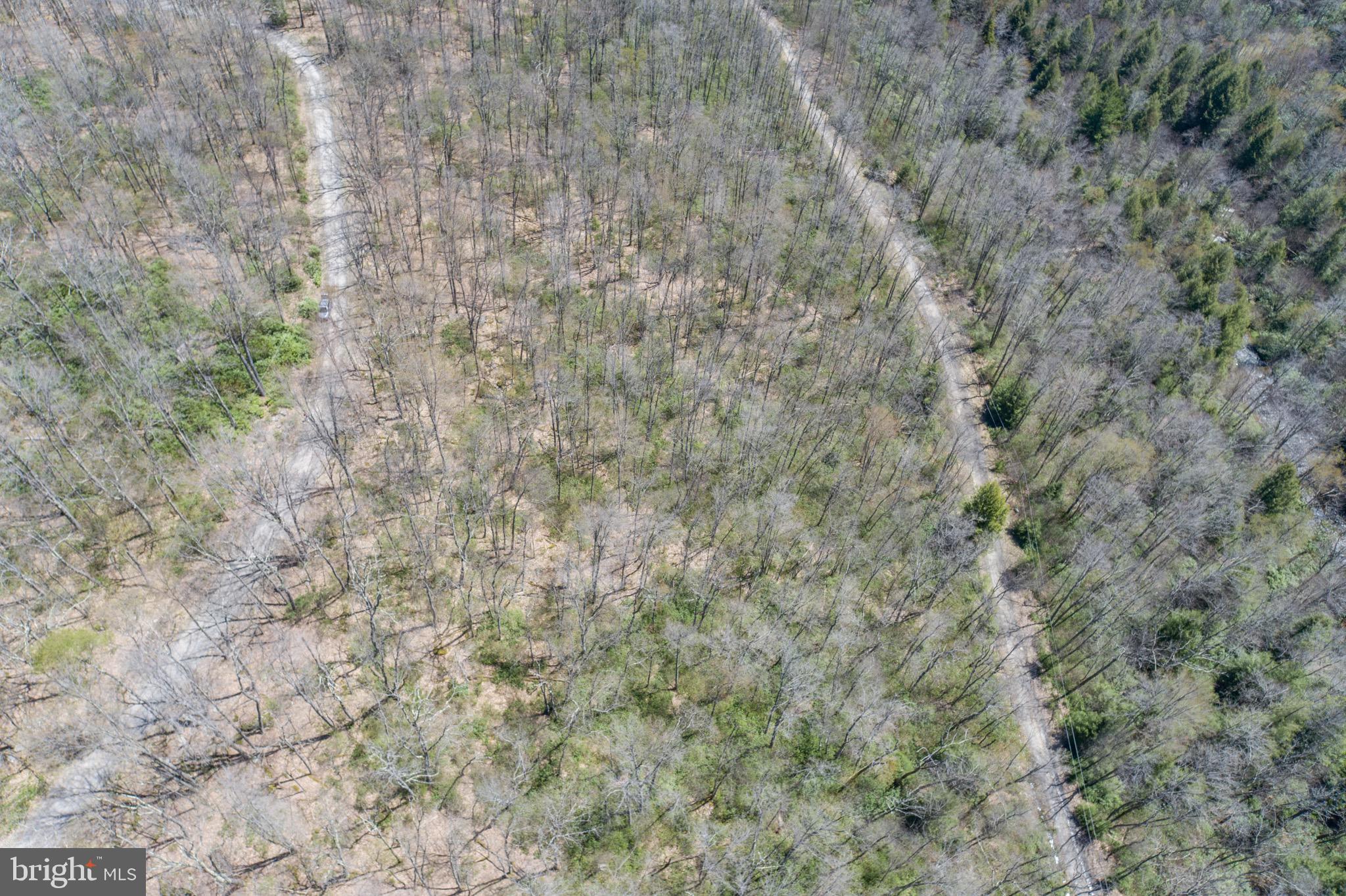 PINEY MOUNTAIN CORP - Land