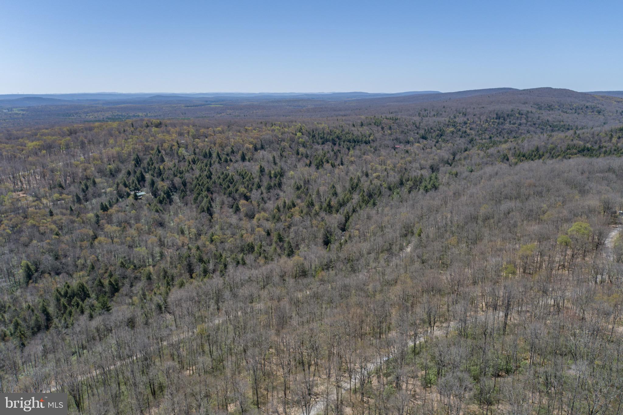 PINEY MOUNTAIN CORP - Land