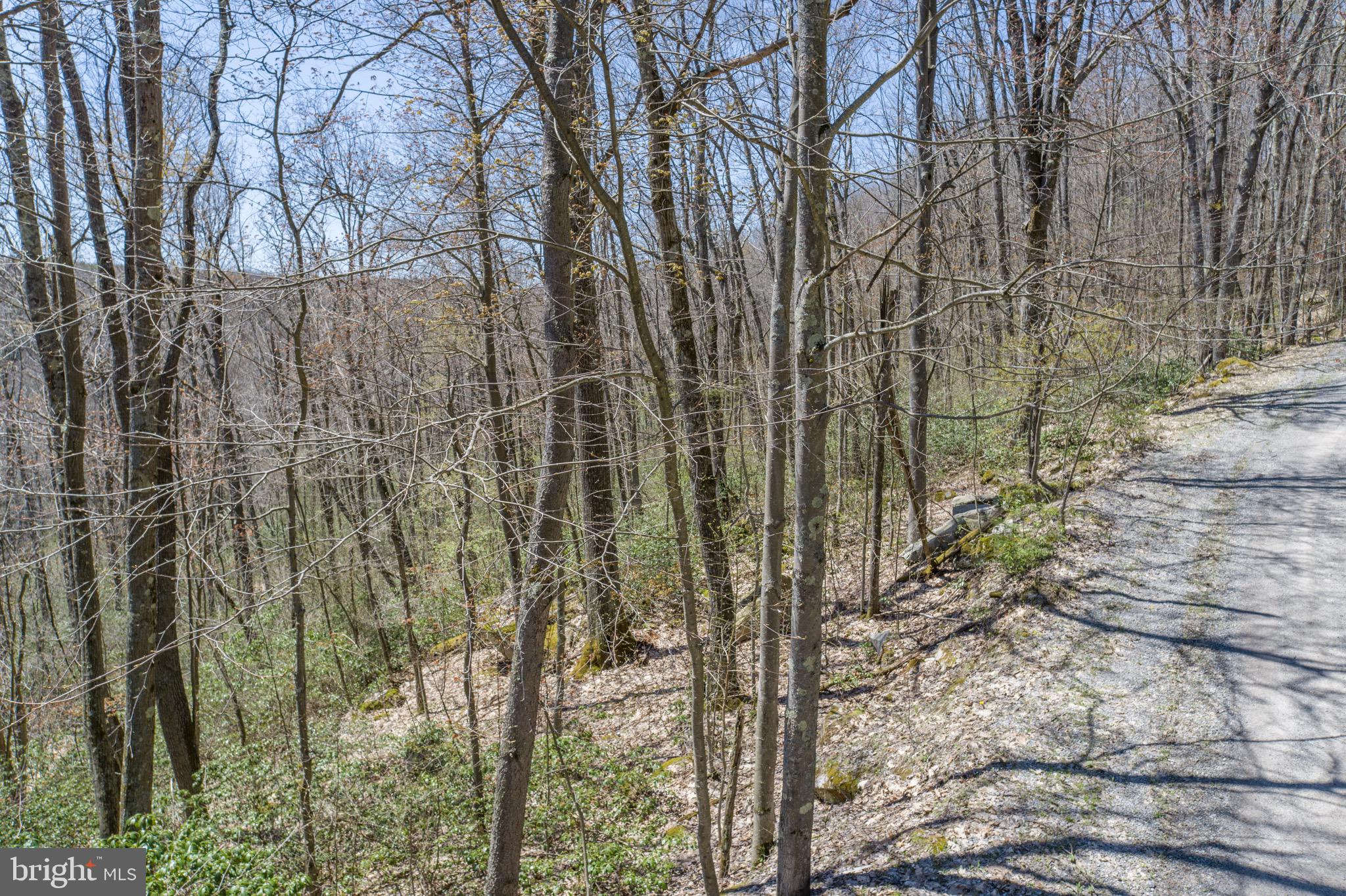 PINEY MOUNTAIN CORP - Land