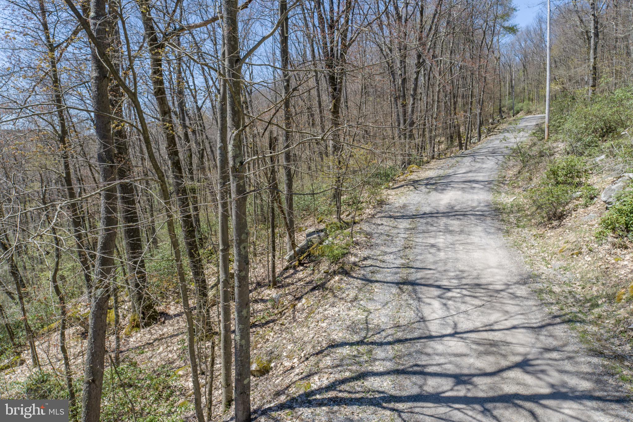 PINEY MOUNTAIN CORP - Land