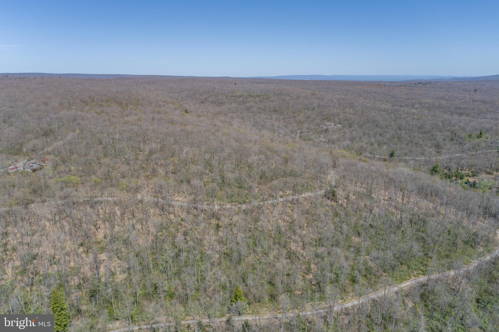 PINEY MOUNTAIN CORP - Land