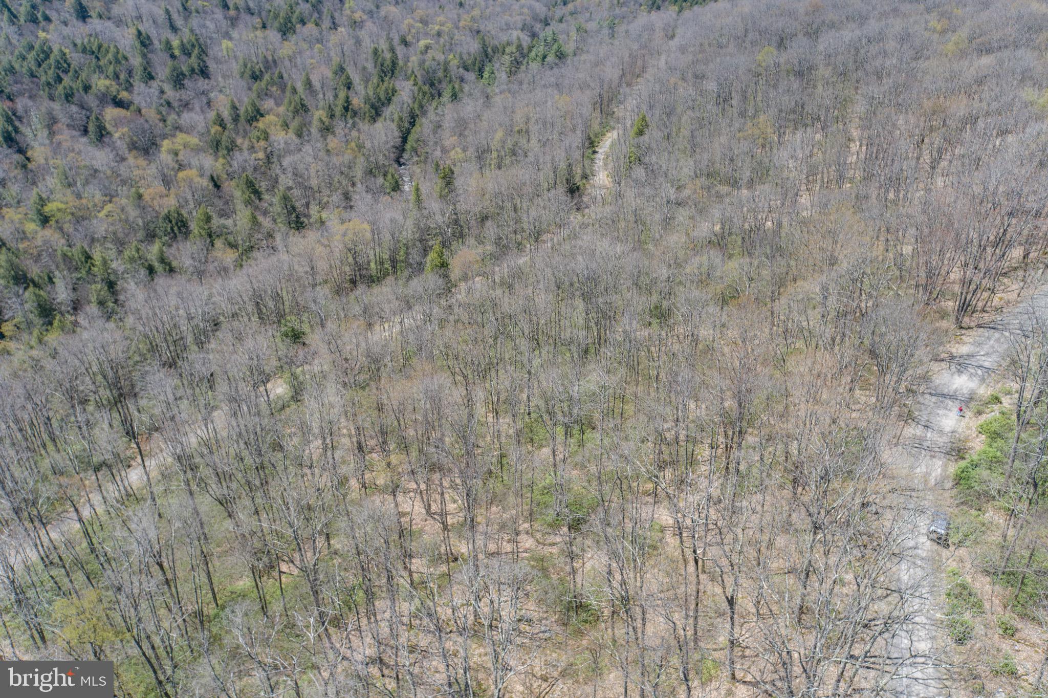 PINEY MOUNTAIN CORP - Land