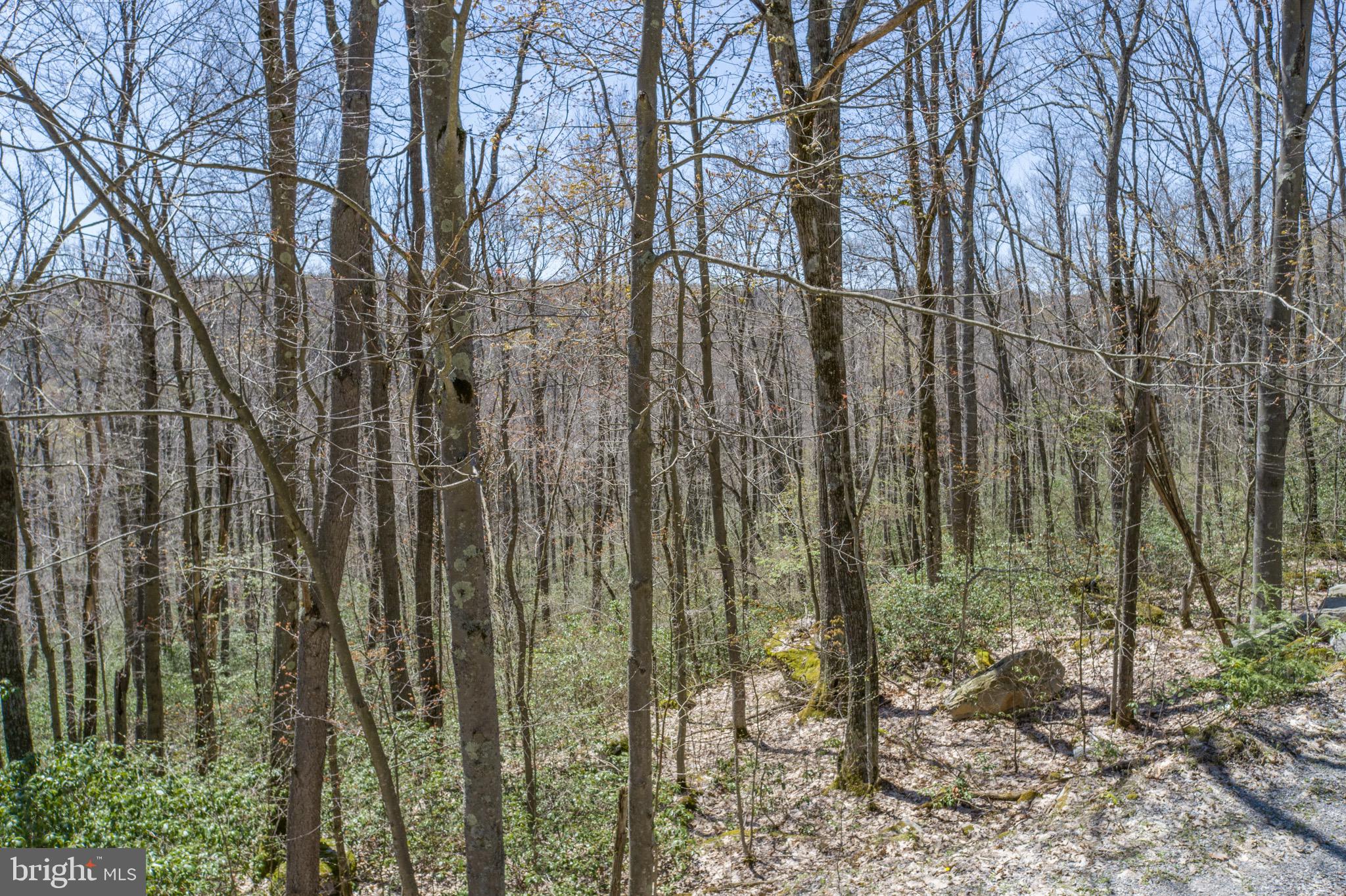 PINEY MOUNTAIN CORP - Land