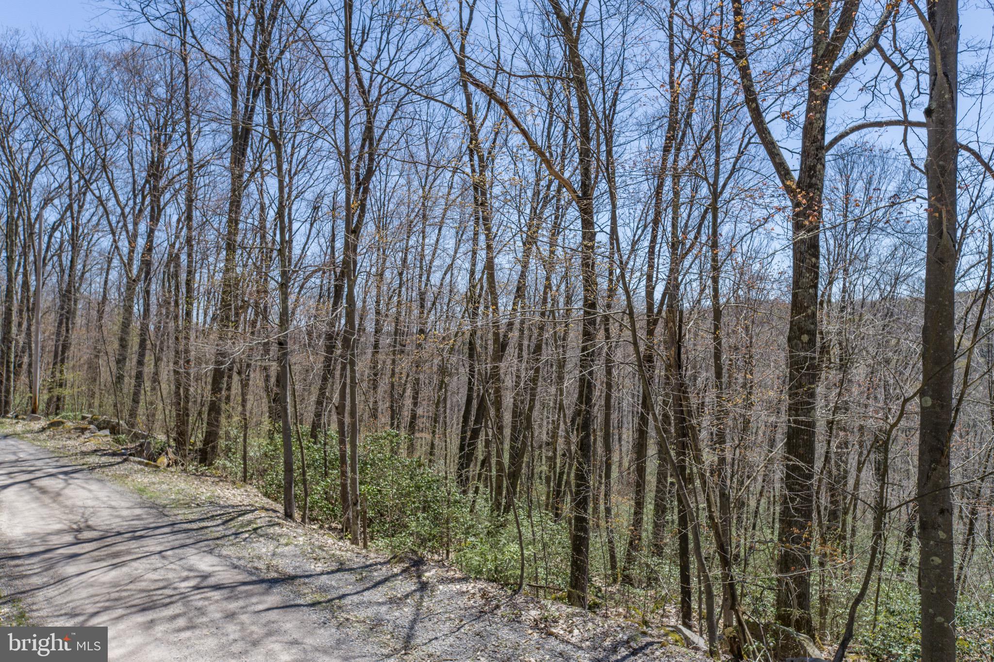 PINEY MOUNTAIN CORP - Land