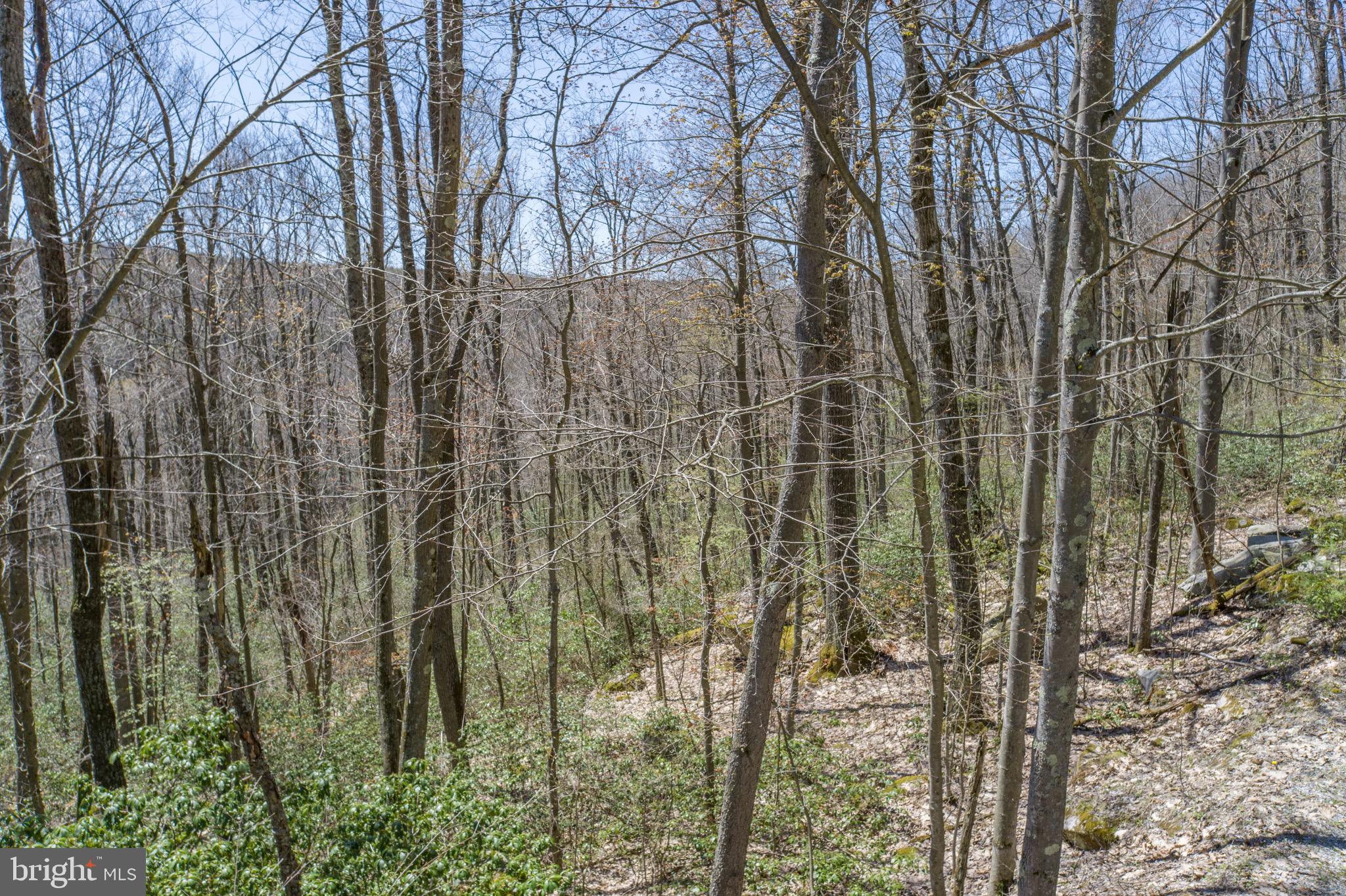 PINEY MOUNTAIN CORP - Land