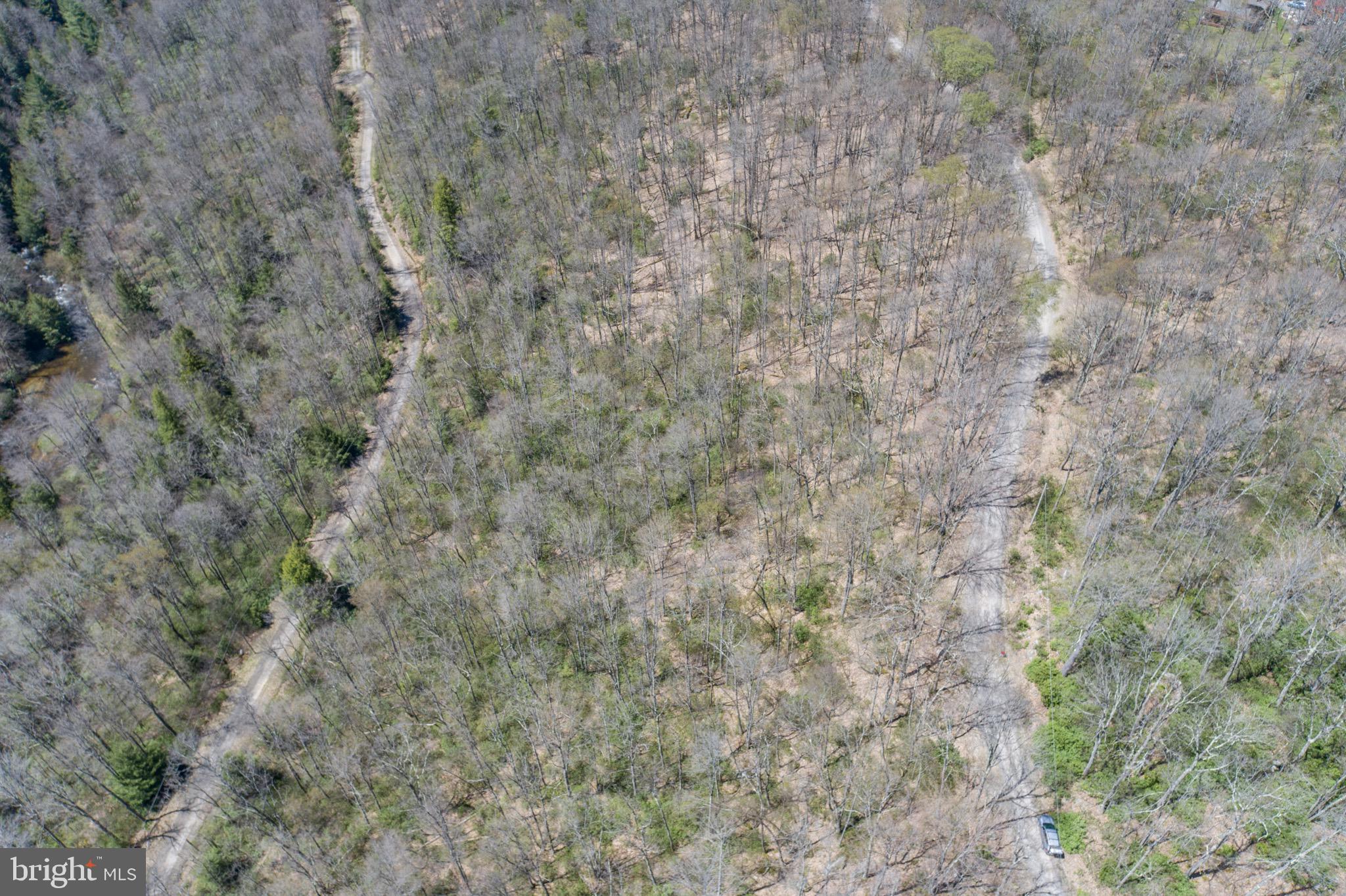 PINEY MOUNTAIN CORP - Land