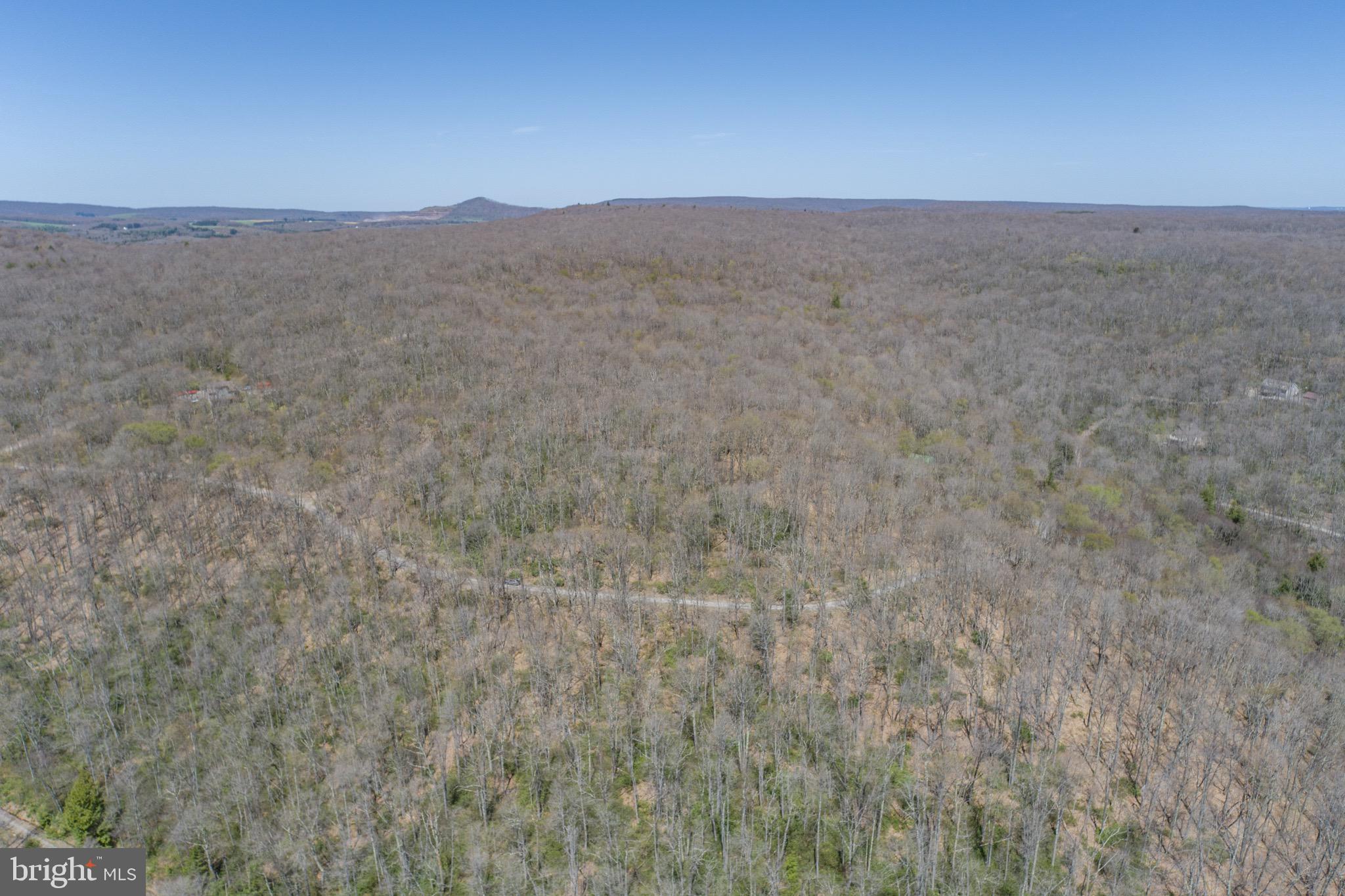 PINEY MOUNTAIN CORP - Land