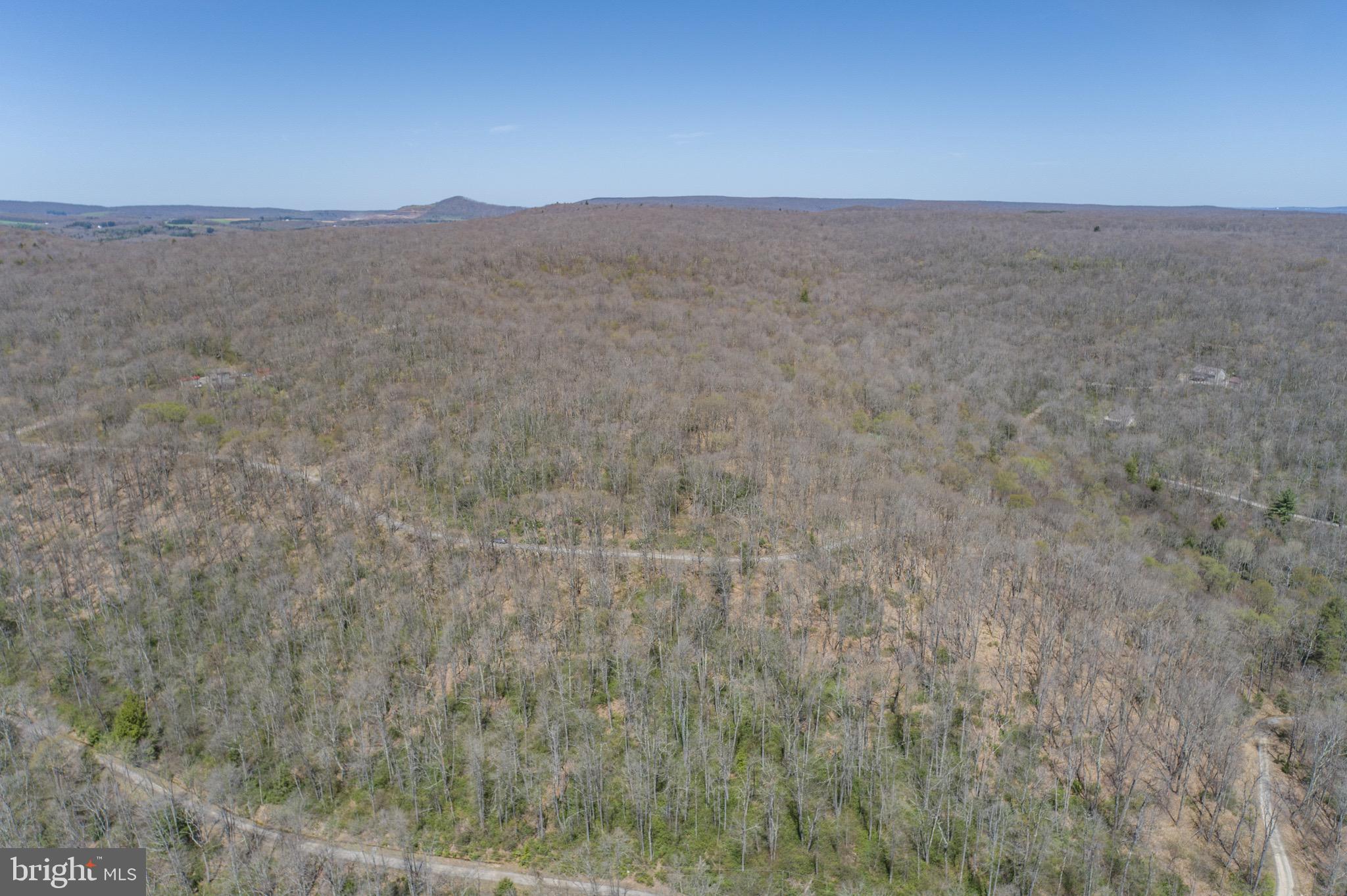 PINEY MOUNTAIN CORP - Land