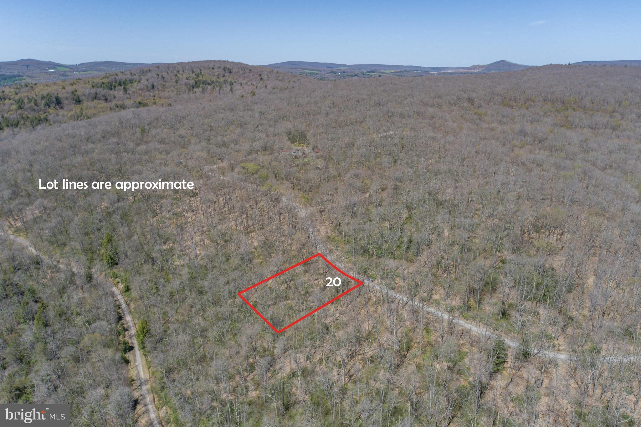 PINEY MOUNTAIN CORP - Land