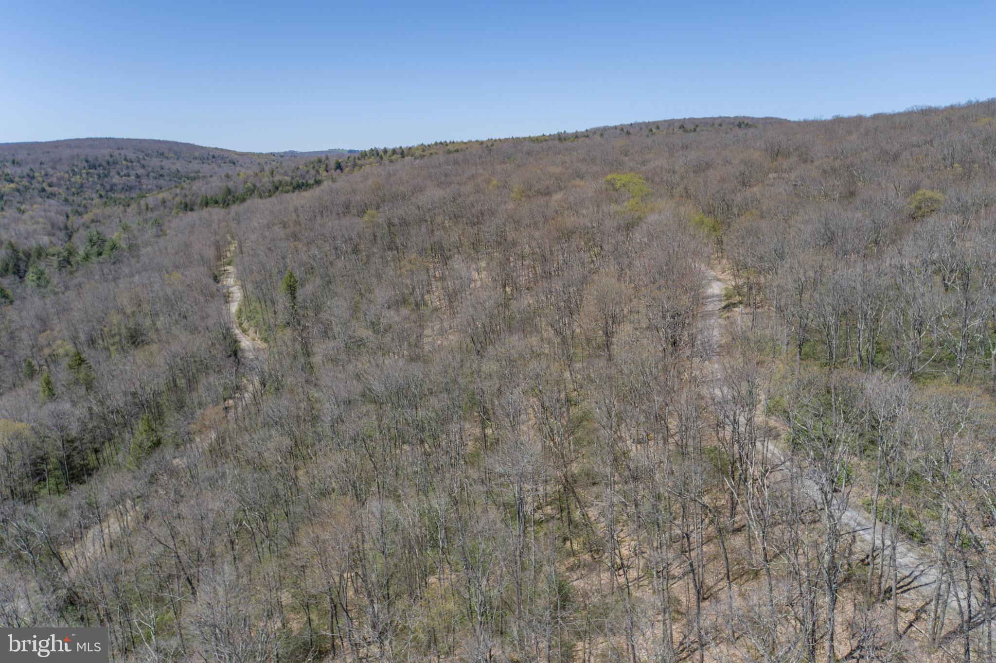 PINEY MOUNTAIN CORP - Land