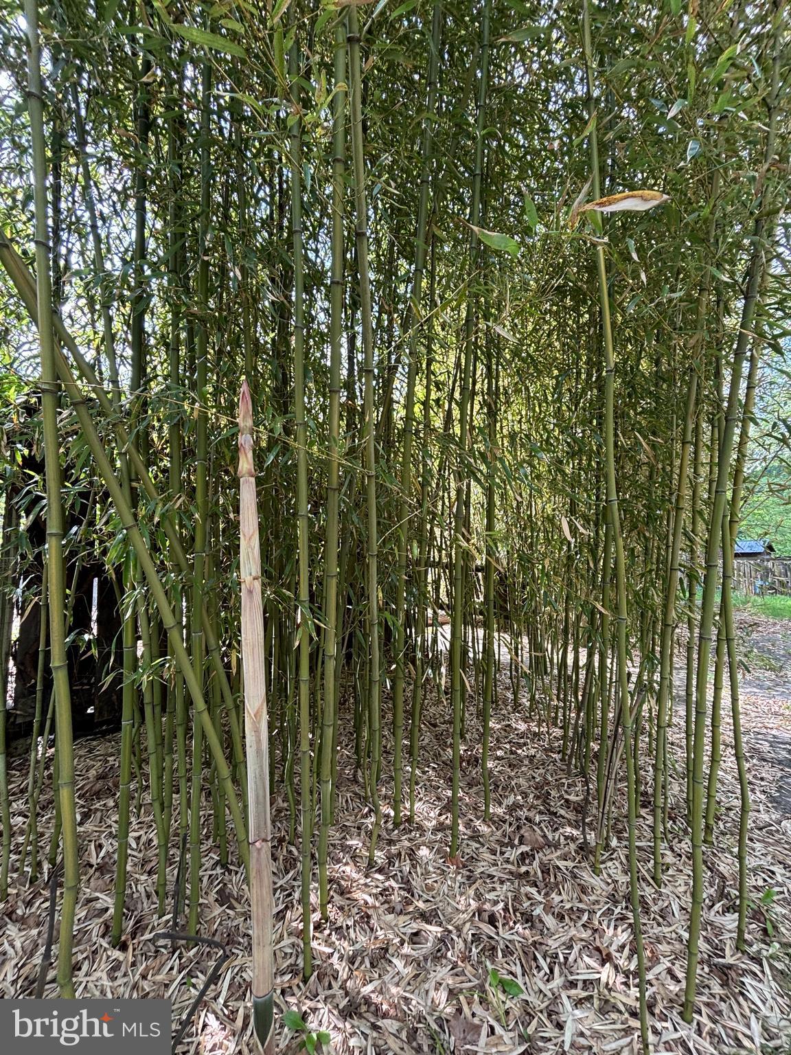 NONE AVAILABLE - Land