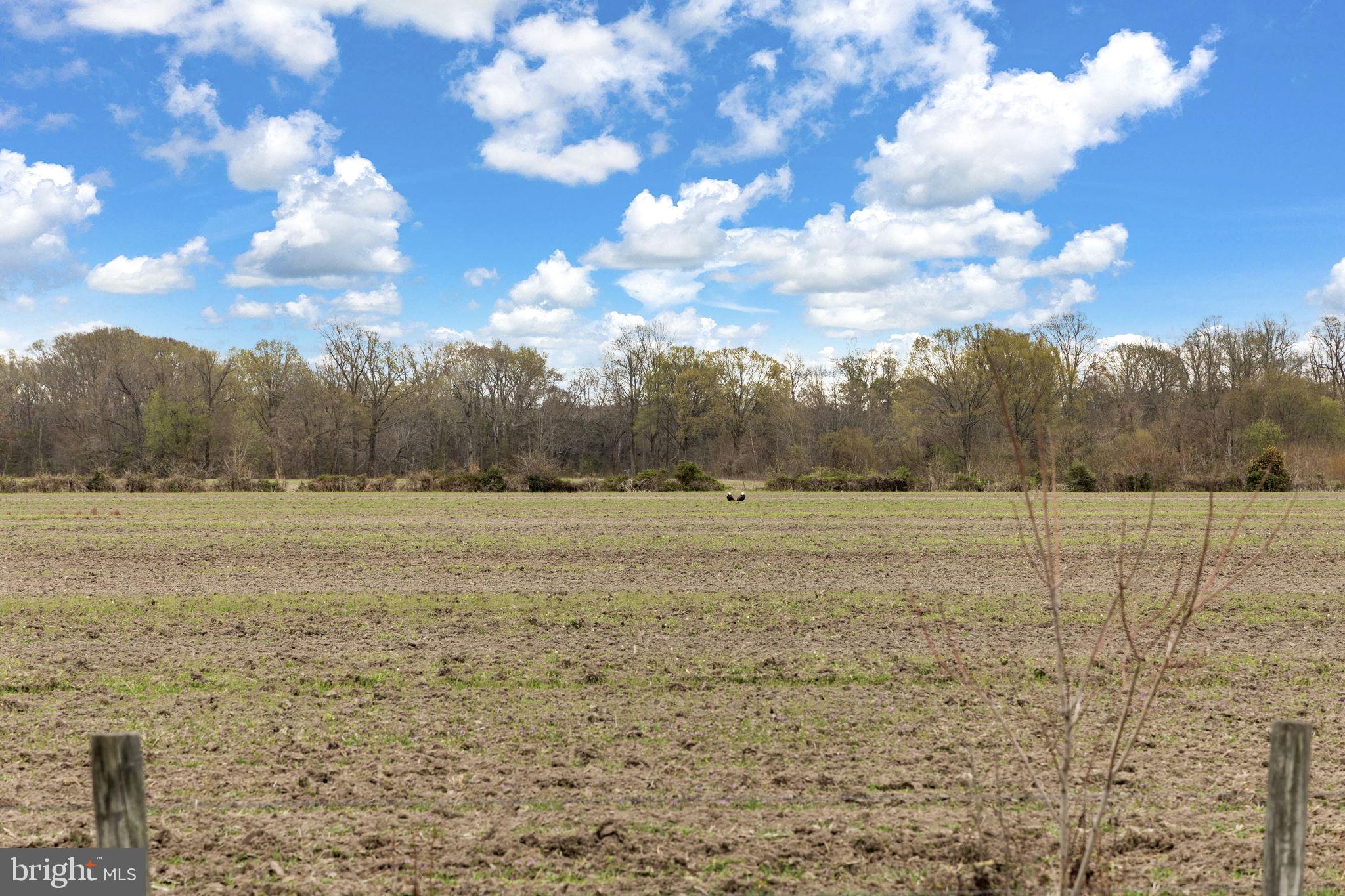 BERKLEY BEACH - Residential