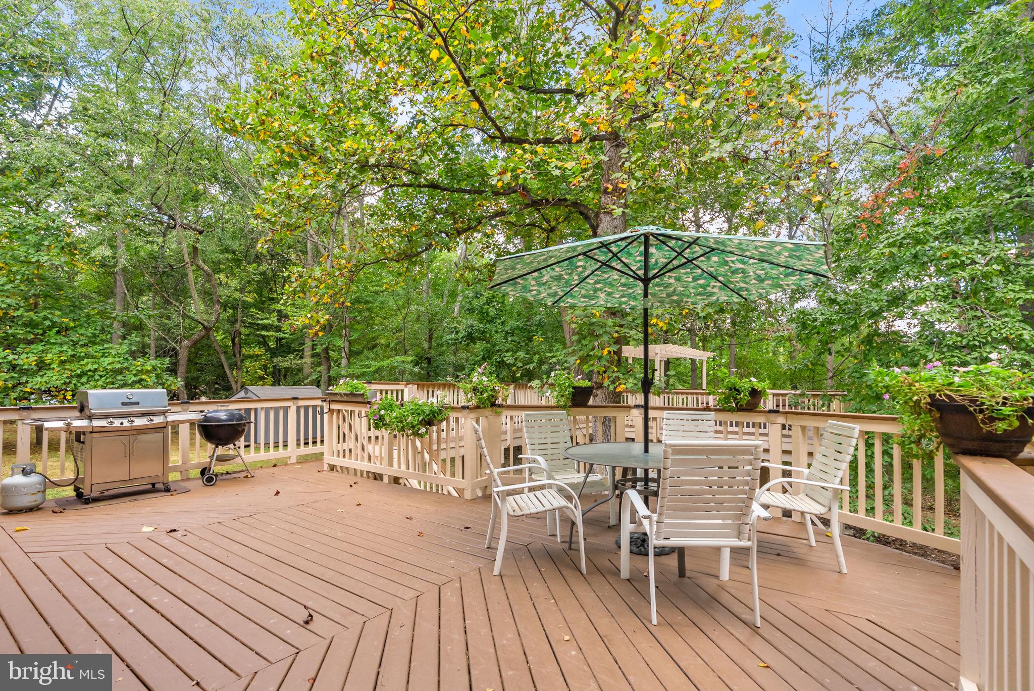 BIG WOODS - Residential