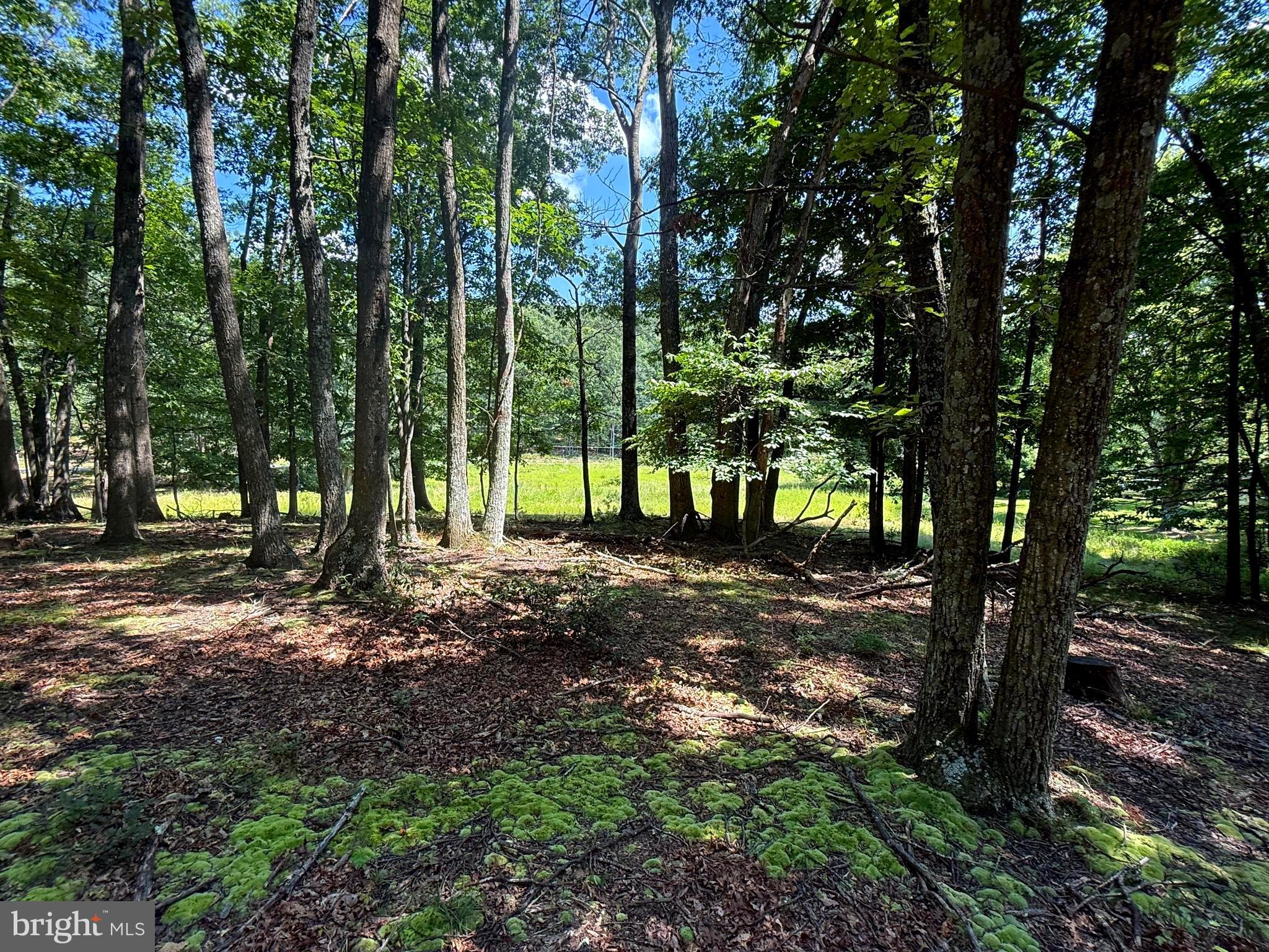 LOST RIVER SUBDIVISION - Residential