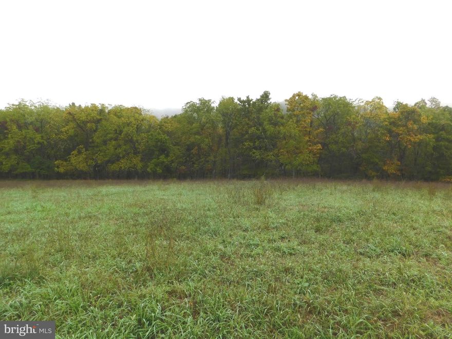 Country roads take me home to this lot with a little more than 10 acres nestled in the hills of Burlington, West Virginia.  It is ready and waiting for you to build your dream home with a cleared and fairly level road front that backs to a nicely wooded area perfect to explore and enjoy nature walks. Build a home with a large covered front porch where you can sit and watch the many wildlife graze in the fields and wander through. Whatever your dream looks like, this is an amazing blank slate offering endless potential. Burlington is home to the Apple Harvest Festival and is located conveniently between Keyser and Romney. It is less than an hour from I-68 in Cumberland, MD and just a little over an hour from I-81 in Winchester, VA.