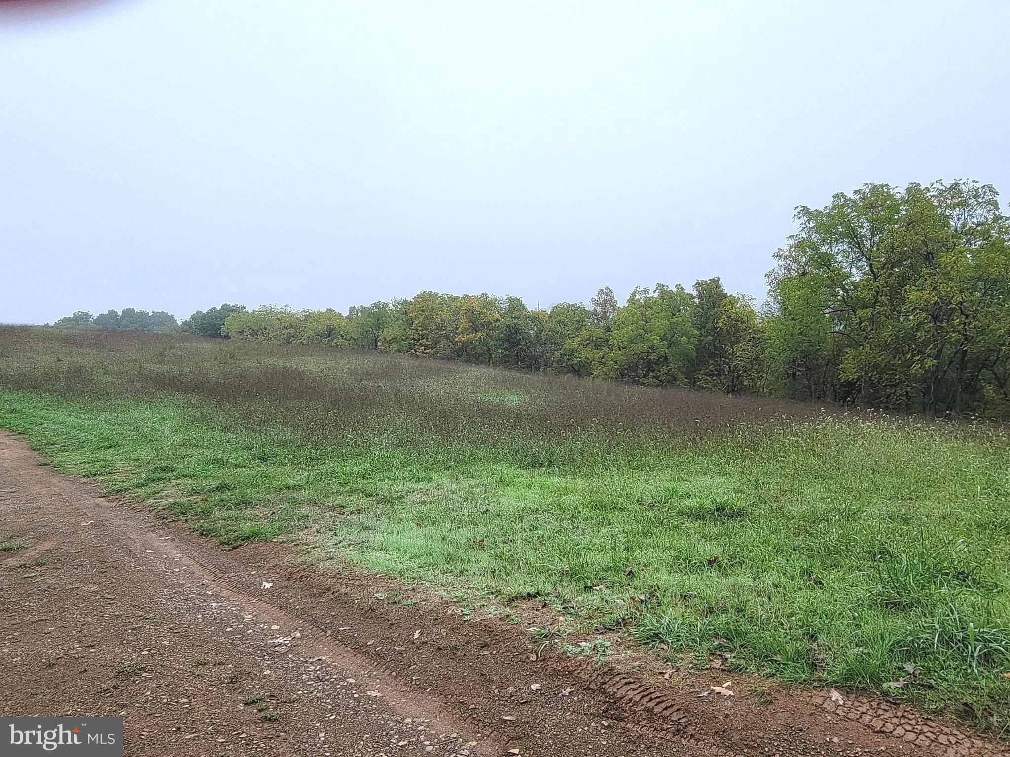 BRENWOOD KNOLLS - Land