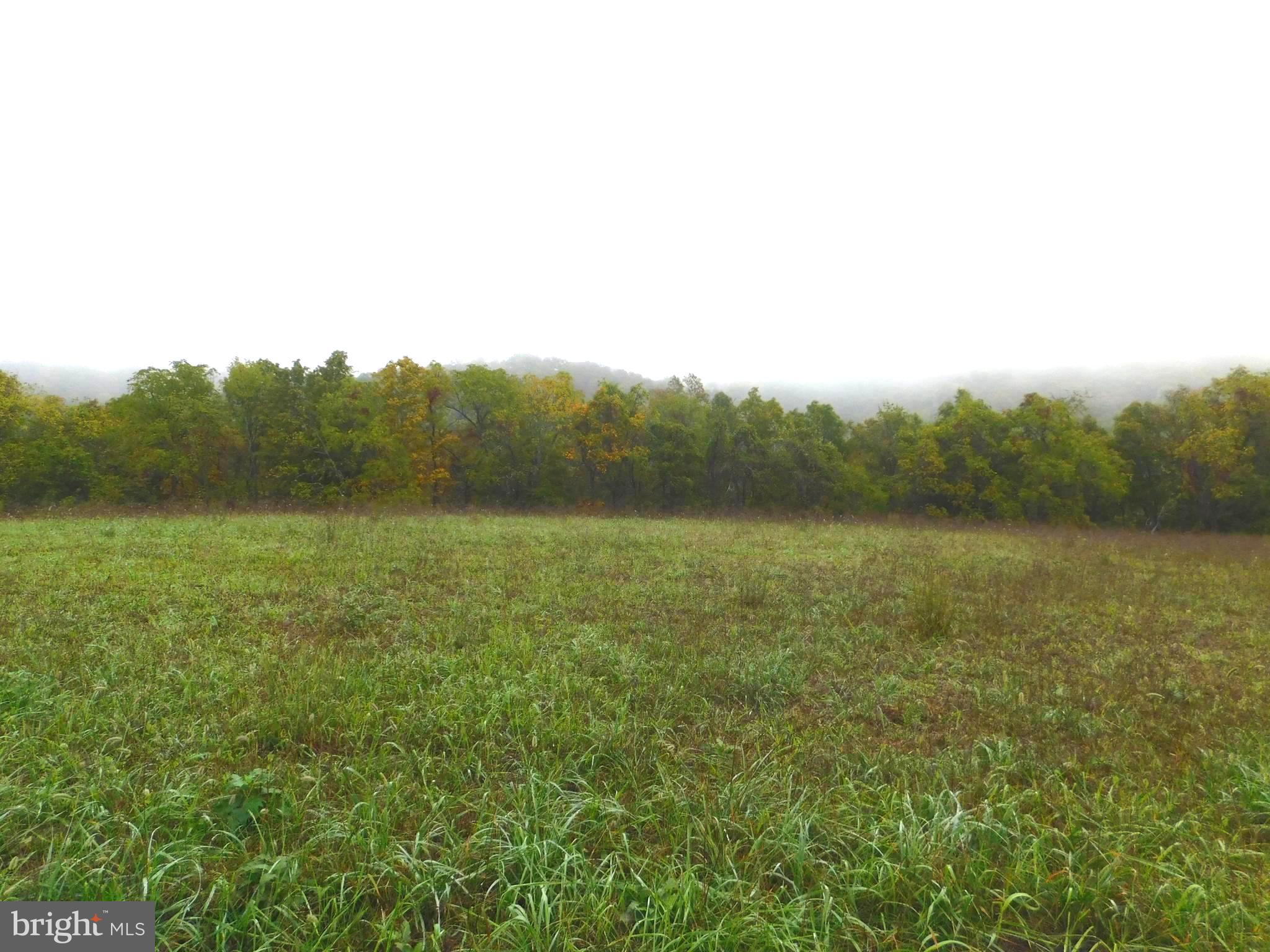 BRENWOOD KNOLLS - Land