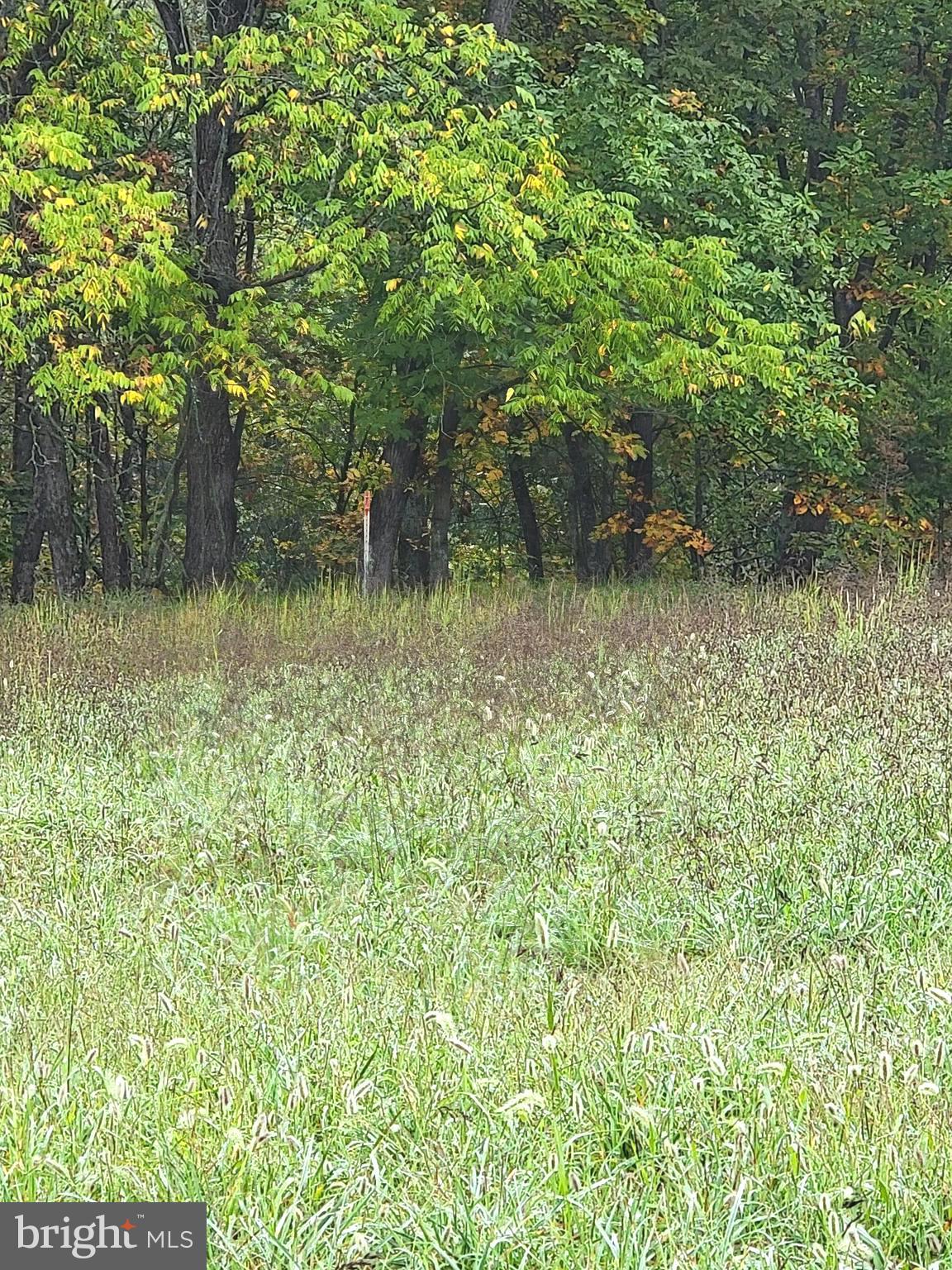 BRENWOOD KNOLLS - Land