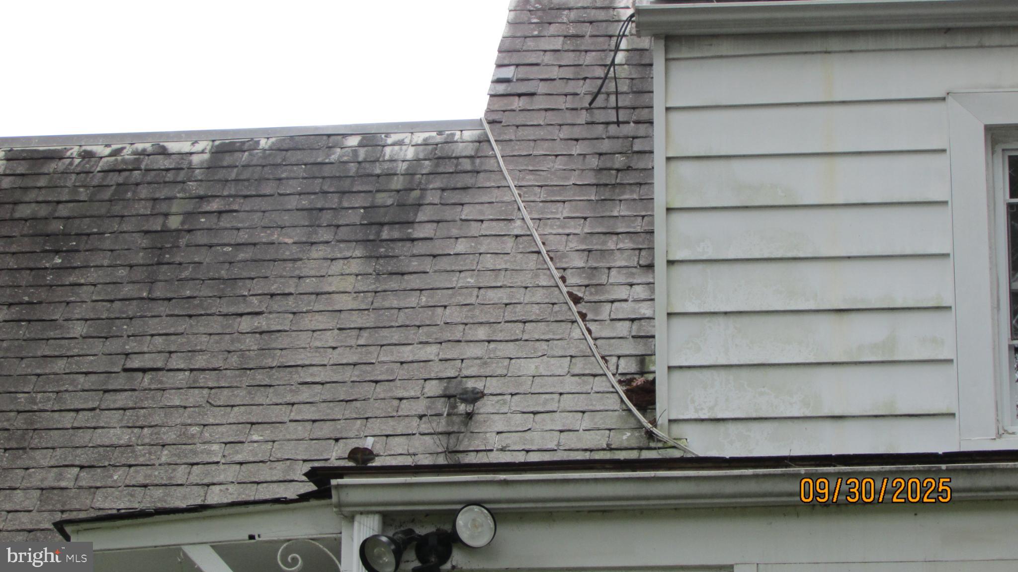 COLLEGE PARK - Residential