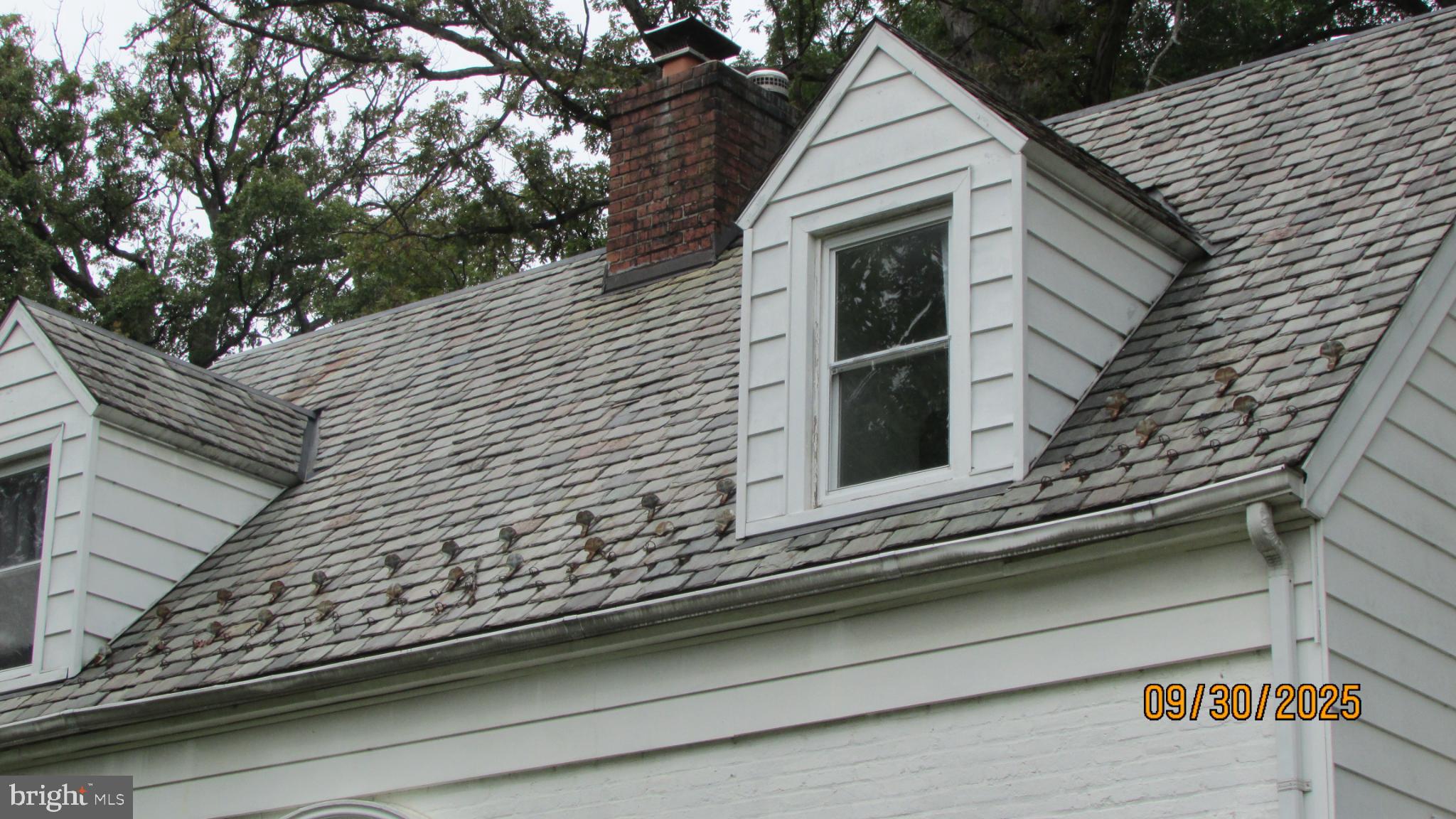 COLLEGE PARK - Residential