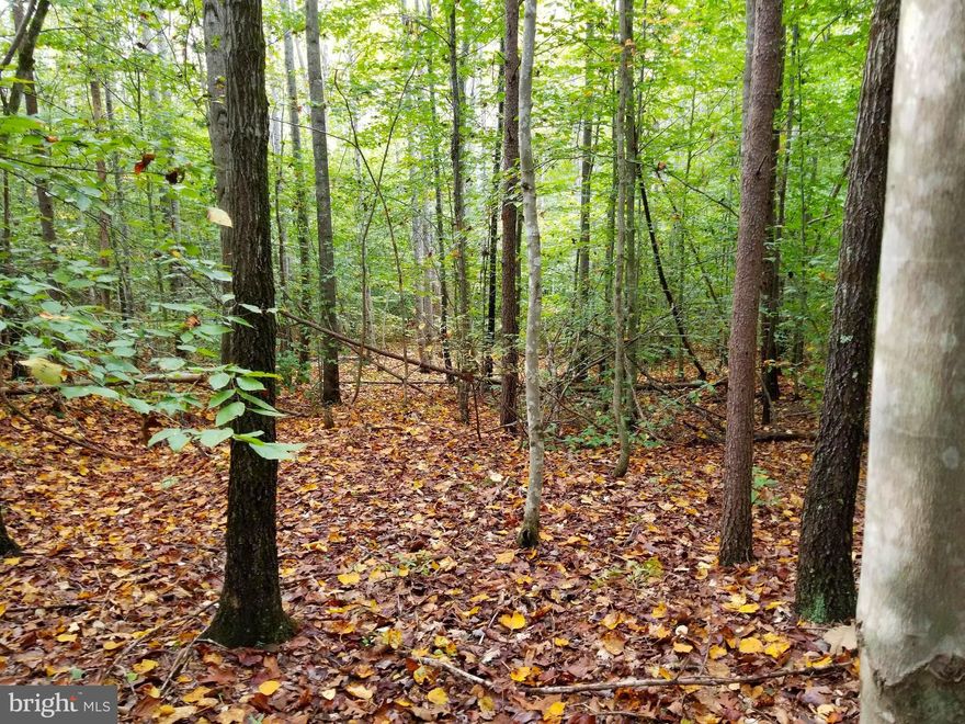 Beautiful Wooded 20+ acre Lot, conveniently located & only minutes between Fredericksburg & Culpeper. Build your Dream Home or just relax on land that you can call your own! If peace and tranquilly is what your looking for, this is it!   Property is located near Hunting Run Reservoir.