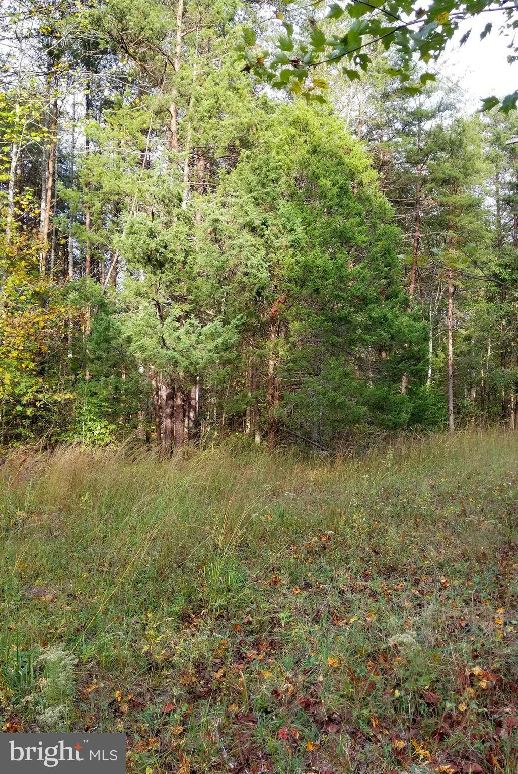 RICHARDSVILLE - Land