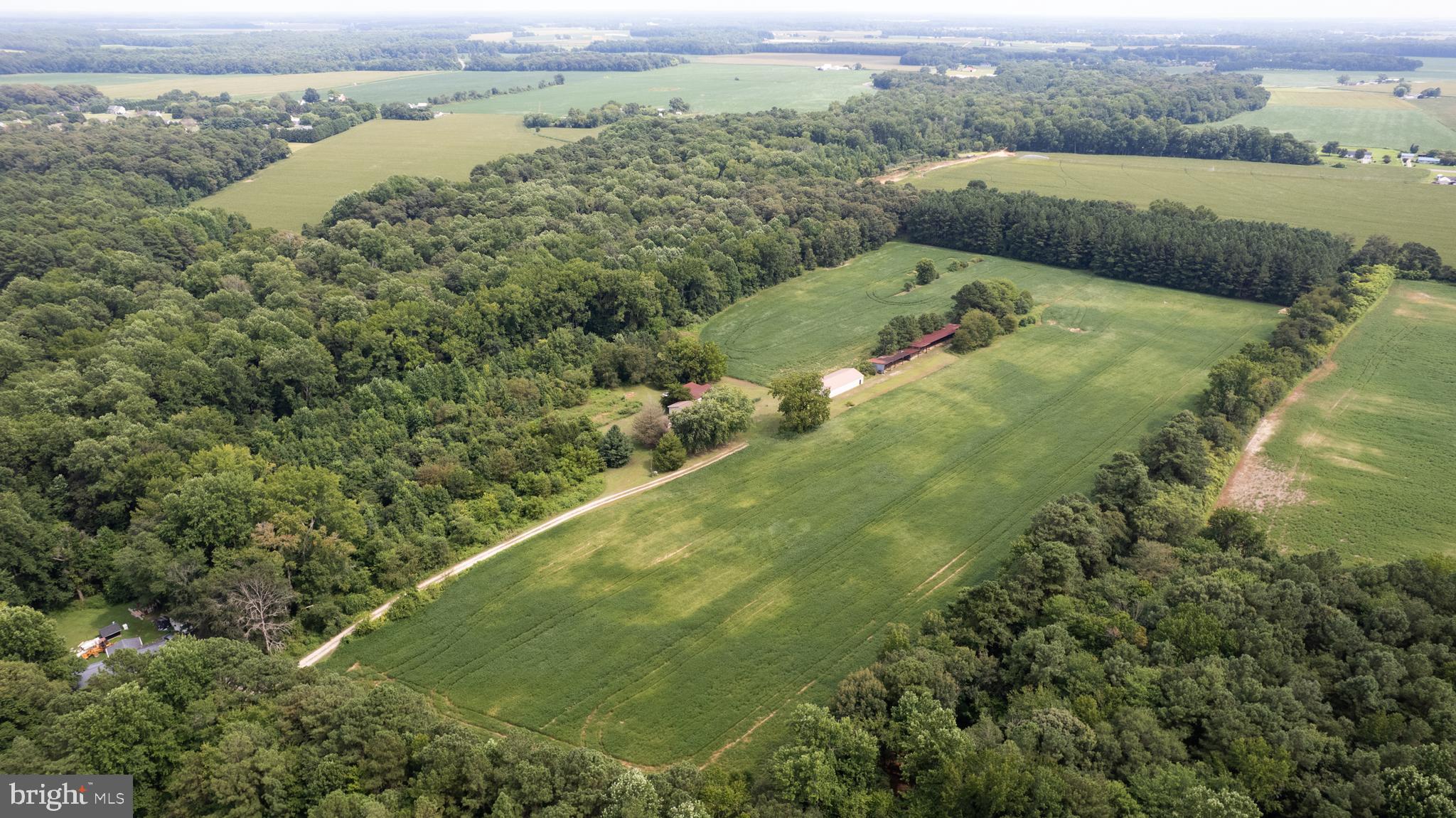 THREE PARCELS CONTAINING 41 PRIVATE ACRES, WITH A 4 BR 3BA HOUSE BUILT IN 1995. ONE LARGE METAL OUT BUILDING, ONE LARGE OPEN-FACED POLE BARN AND ONE WORKSHOP COMPLETE THIS OFFERING. ROUGHLY 16 ACRES CURRENTLY BEING FARMED WITH DEER, TURKEYS, DOVE AND OTHER WILDLIFE. DON'T WAIT TO LONG, THIS IS THE PERFECT GENTLEMAN'S FARM!