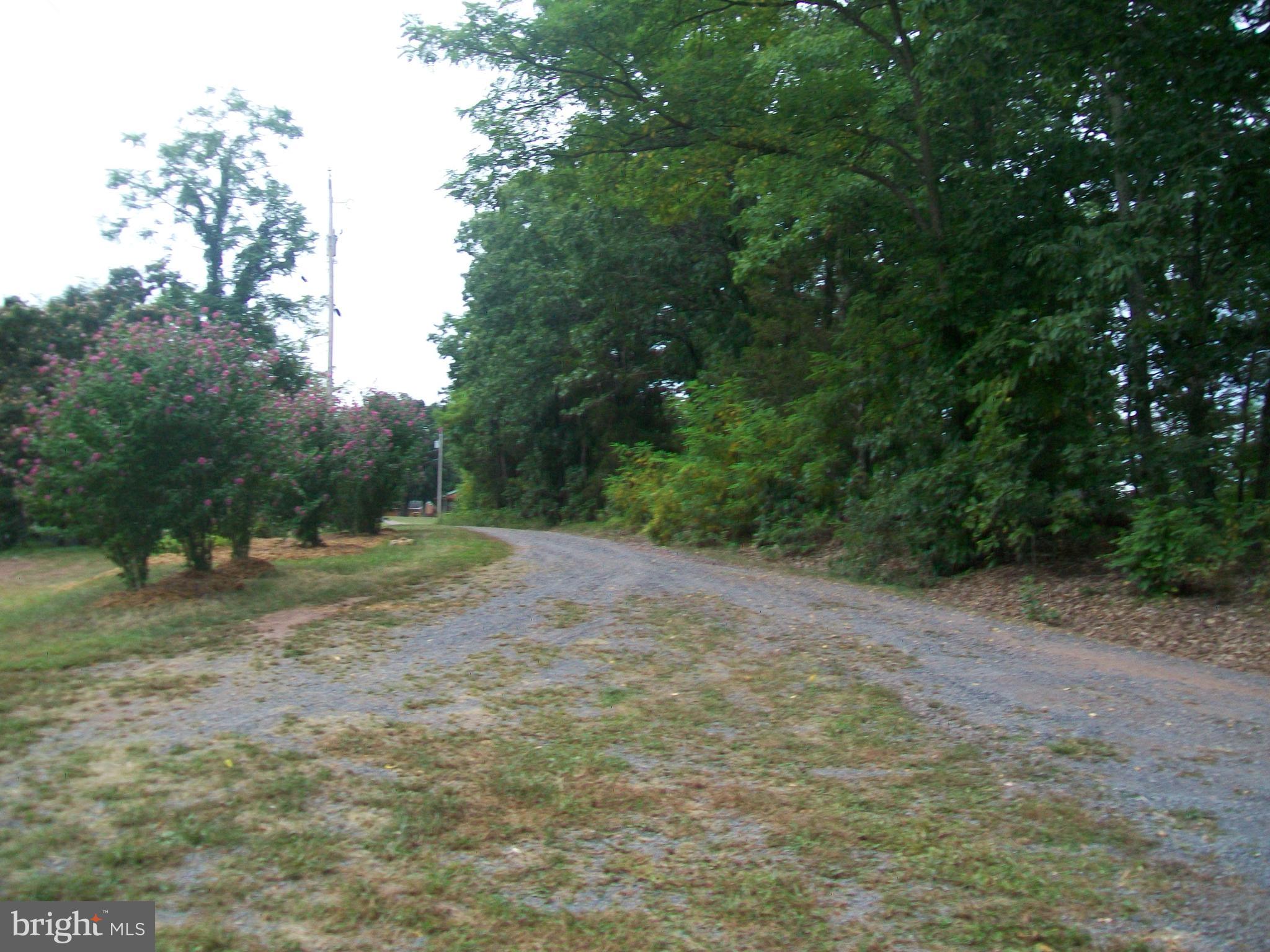 POTOMAC HIGHLAND FARMS - Land