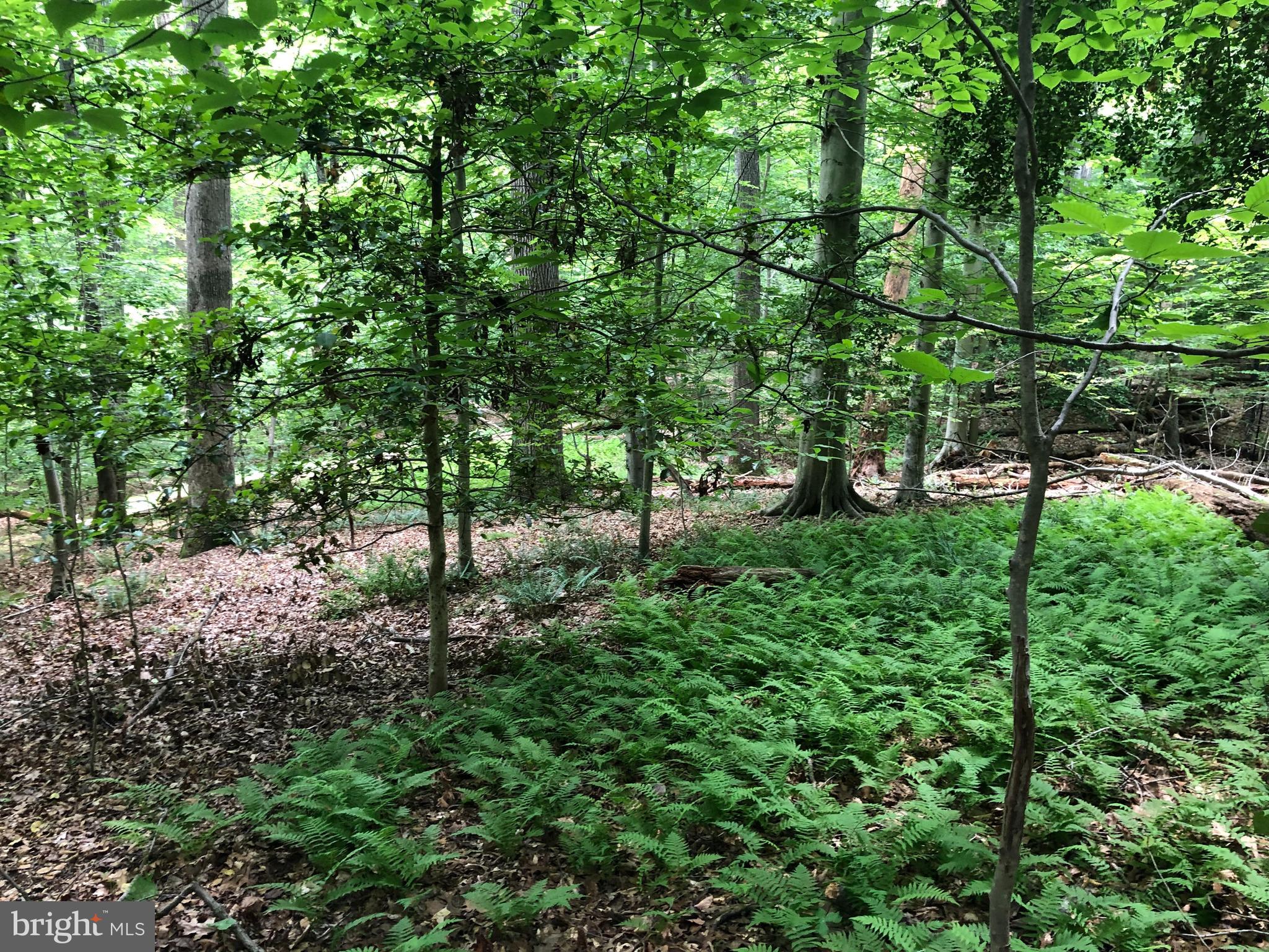 KNOLLWOOD - Residential