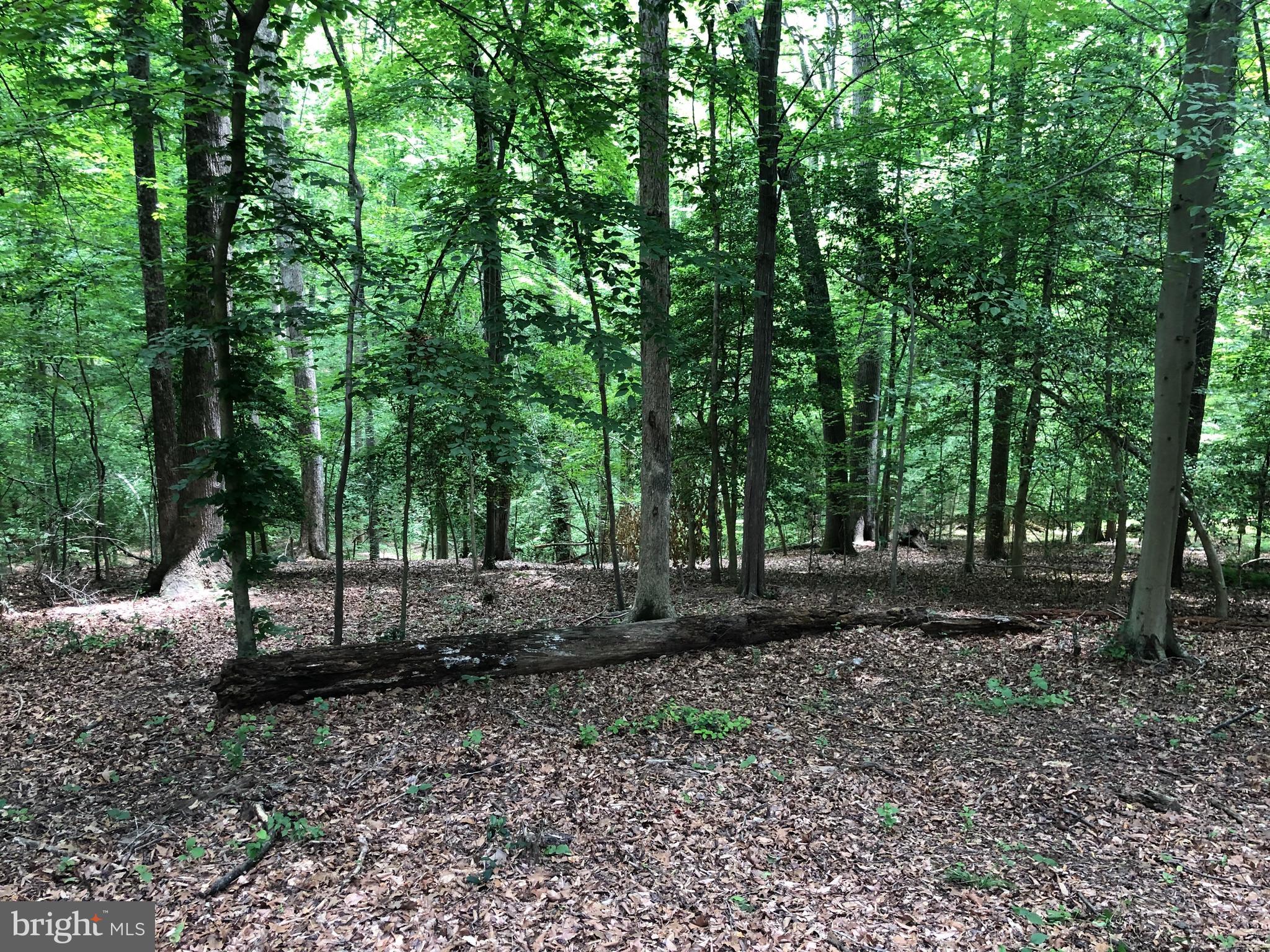 KNOLLWOOD - Residential