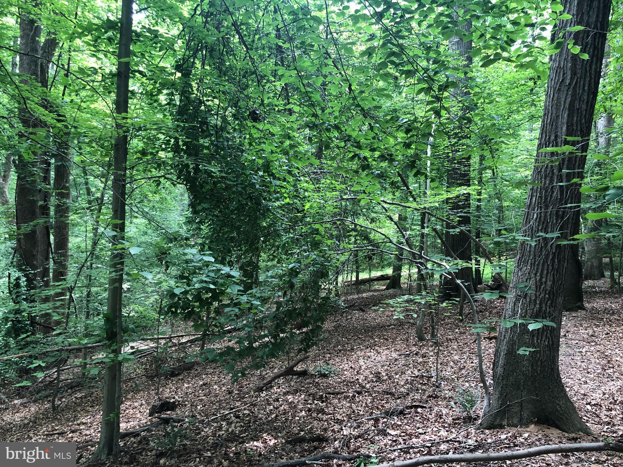 KNOLLWOOD - Residential