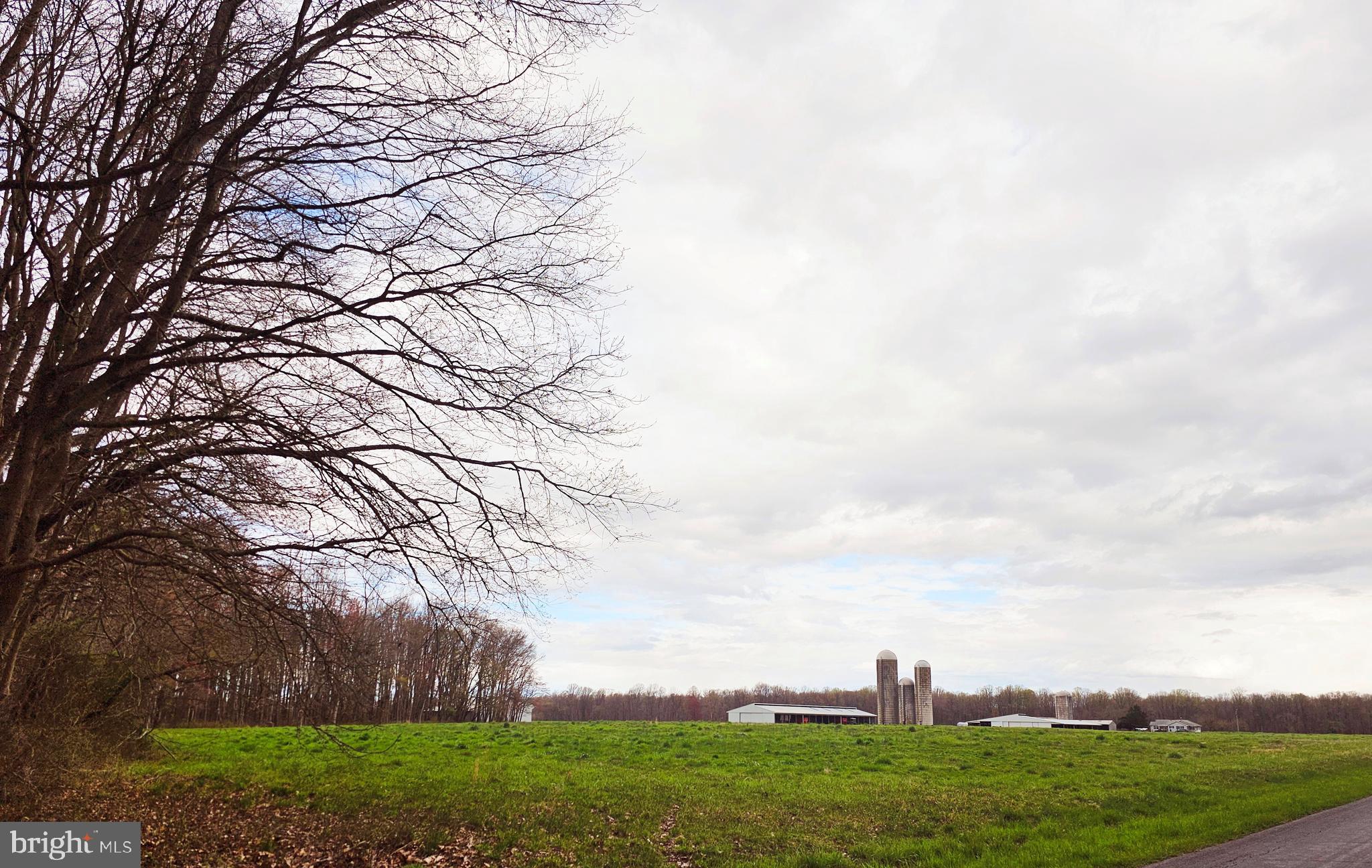 NONE AVAILABLE - Farm