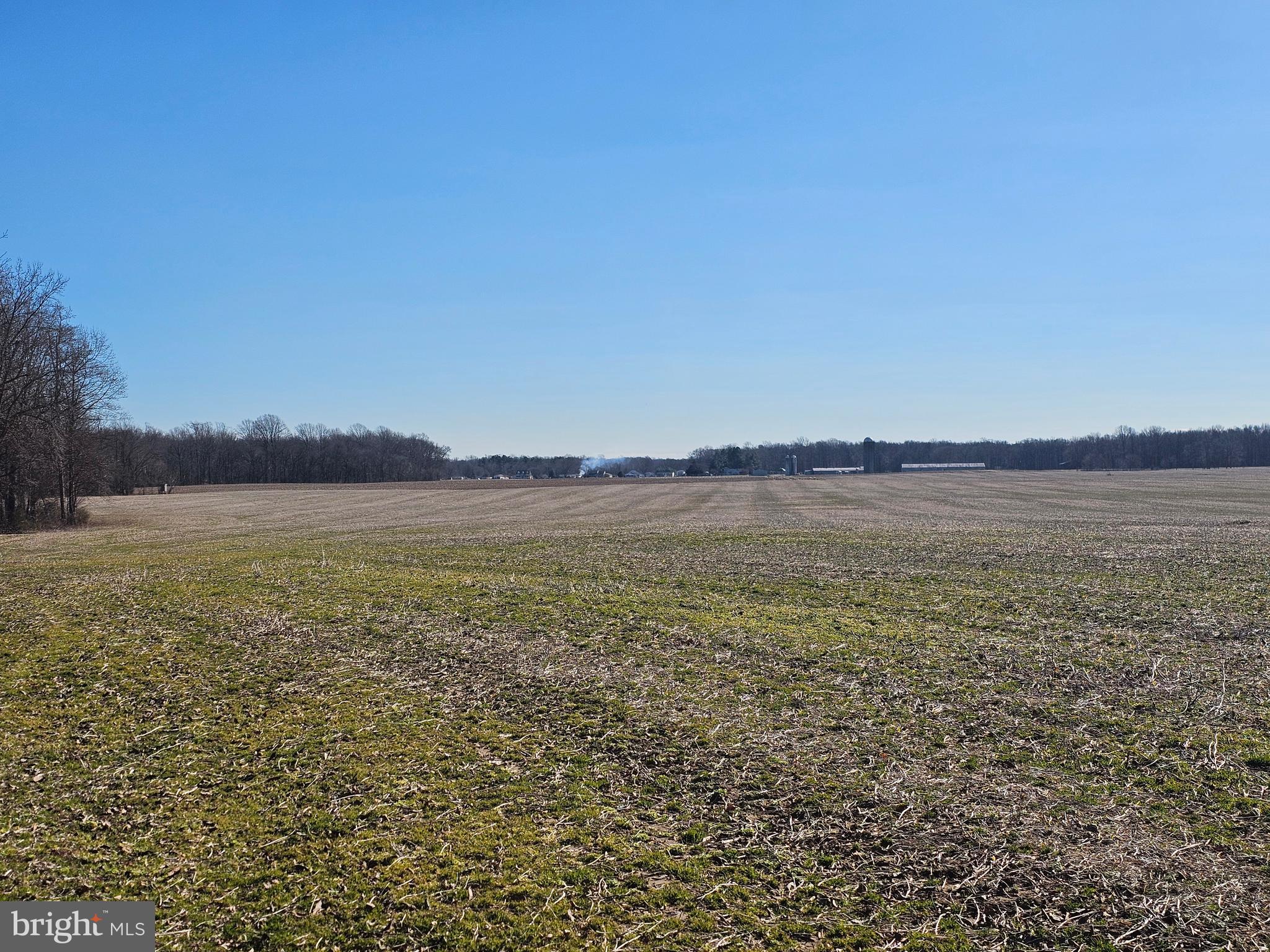 NONE AVAILABLE - Farm