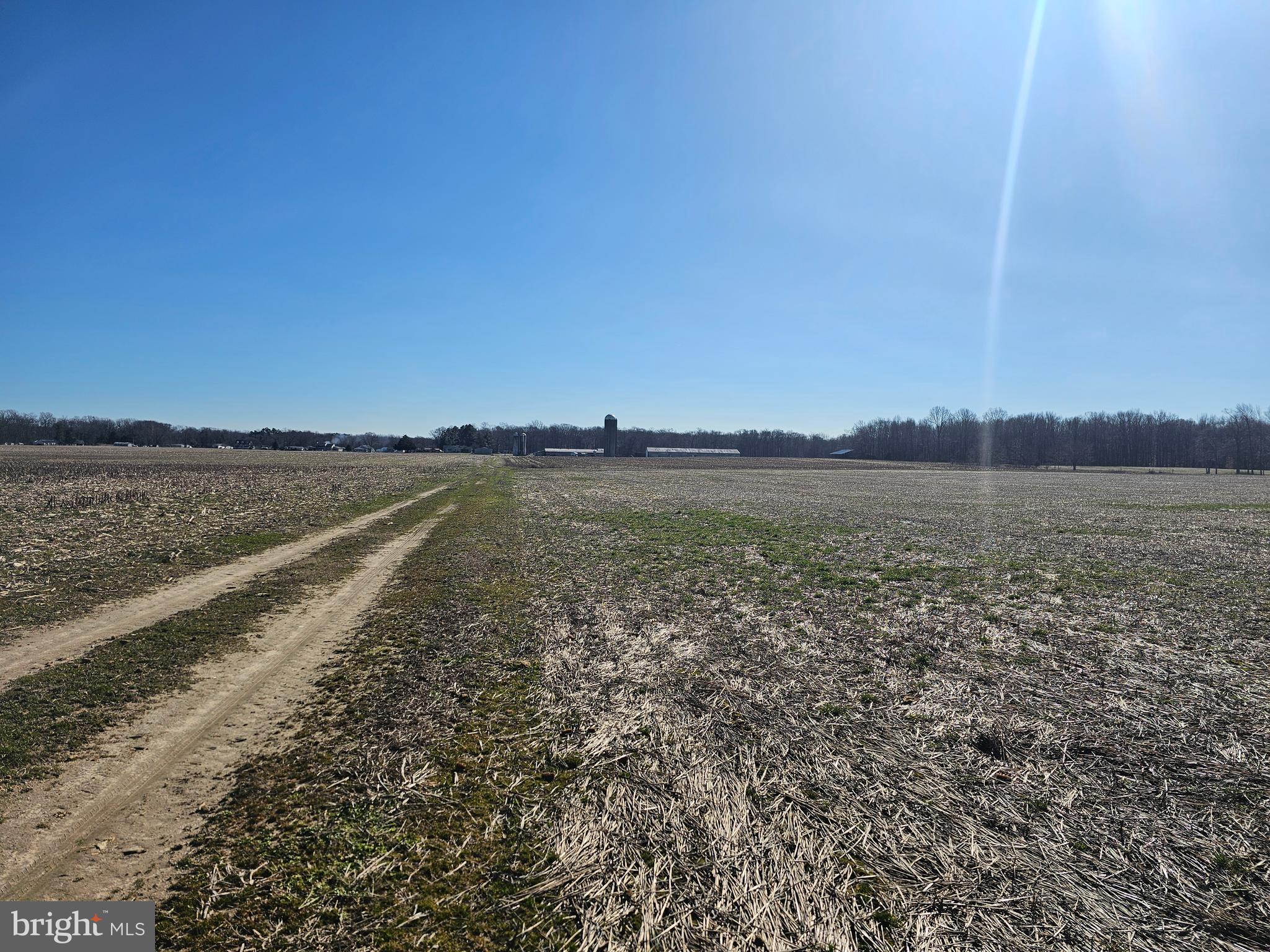 NONE AVAILABLE - Farm